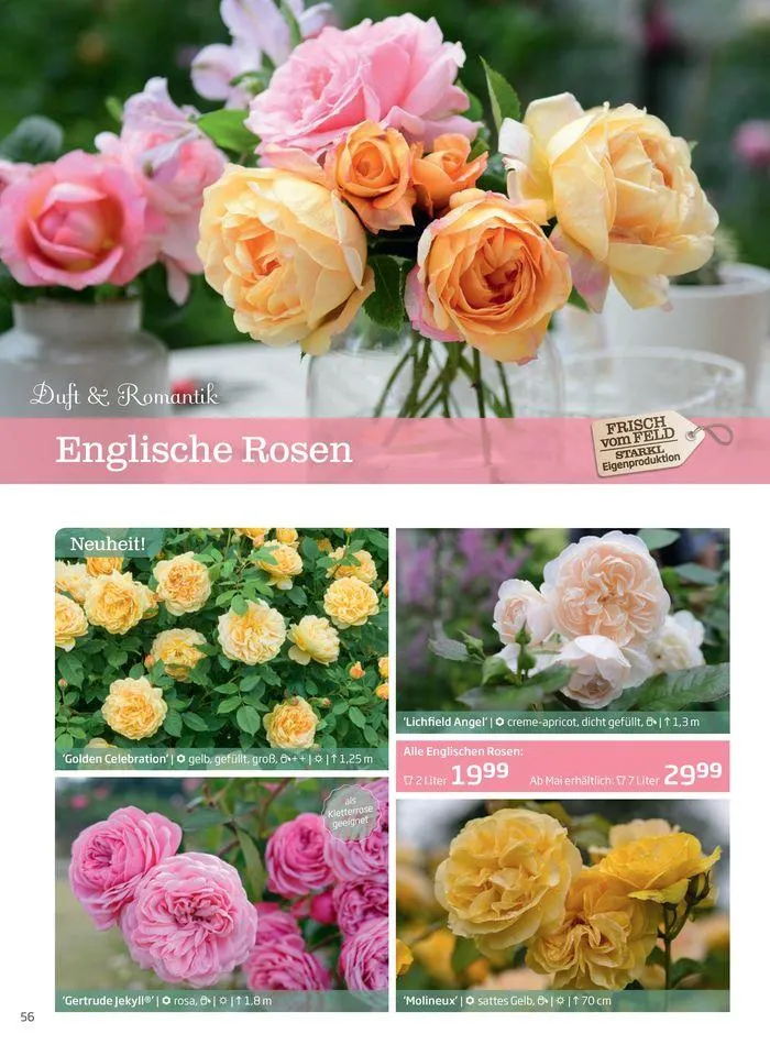 Gartencenter Jahreskatalog 2024 von 20. Mai bis 31. Dezember 2024 - Flugblätt seite  56