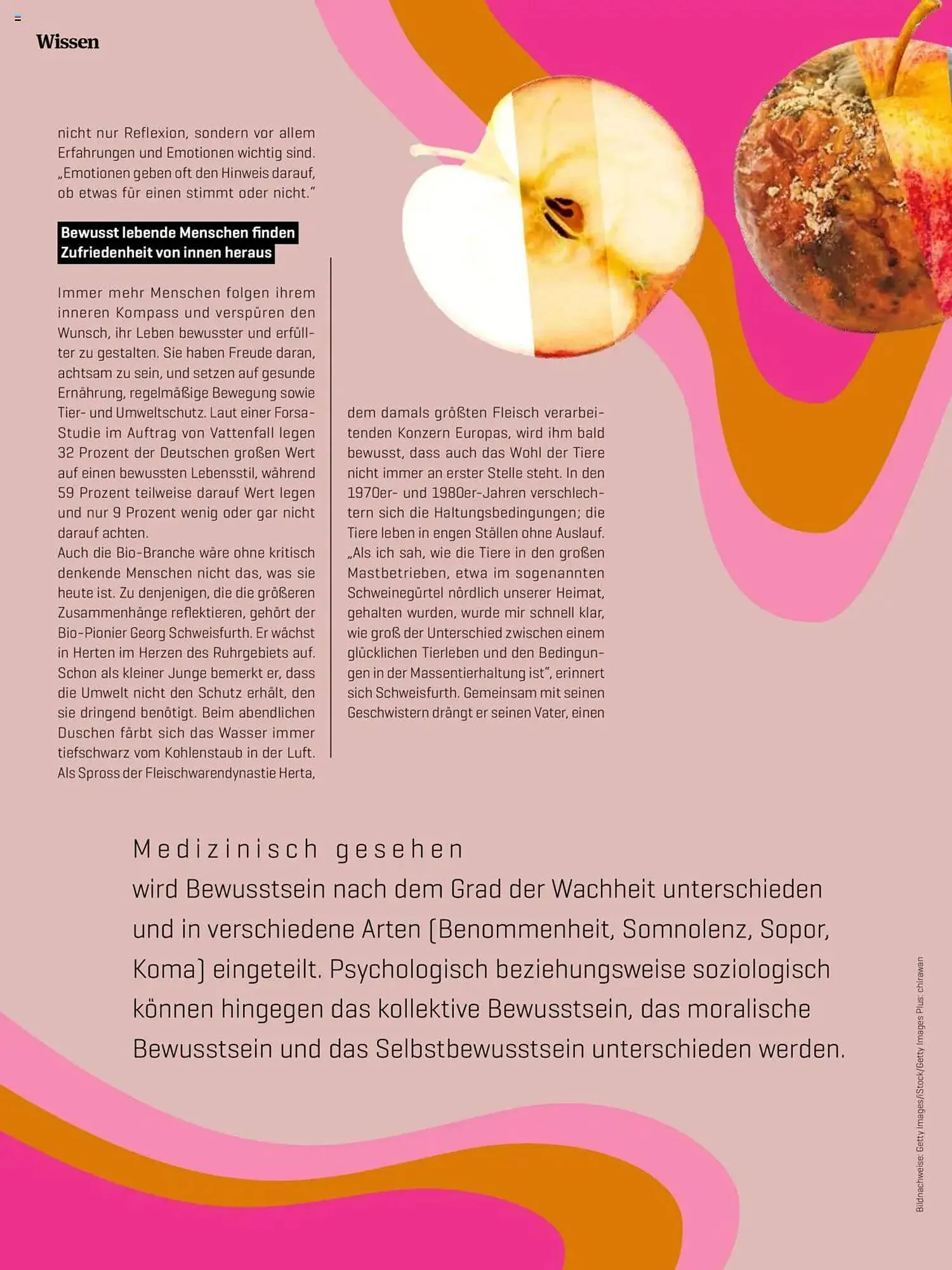 Denn's Biomarkt Flugblatt von 11. Februar bis 6. August 2025 - Flugblätt seite 10