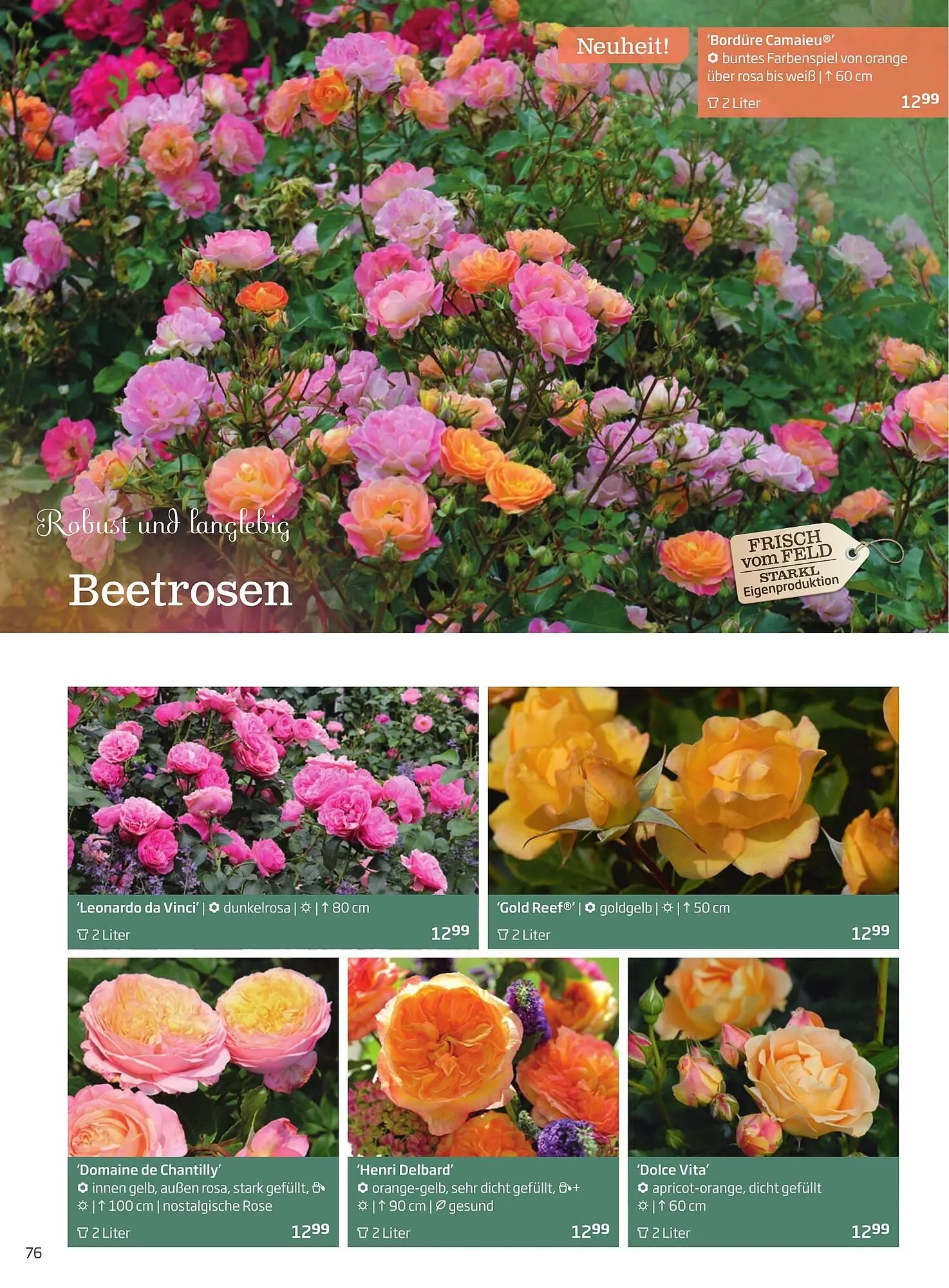 Starkl Flugblatt von 6. Juni bis 31. Dezember 2025 - Flugblätt seite  76