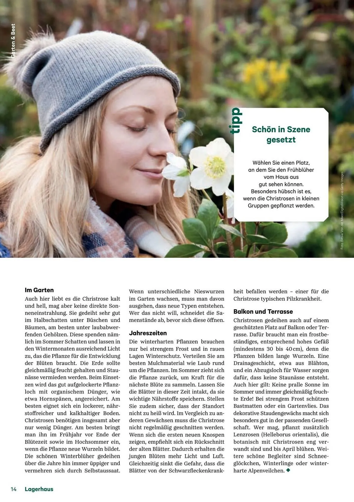 Lagerhaus Flugblatt von 11. Dezember bis 6. Februar 2026 - Flugblätt seite  14