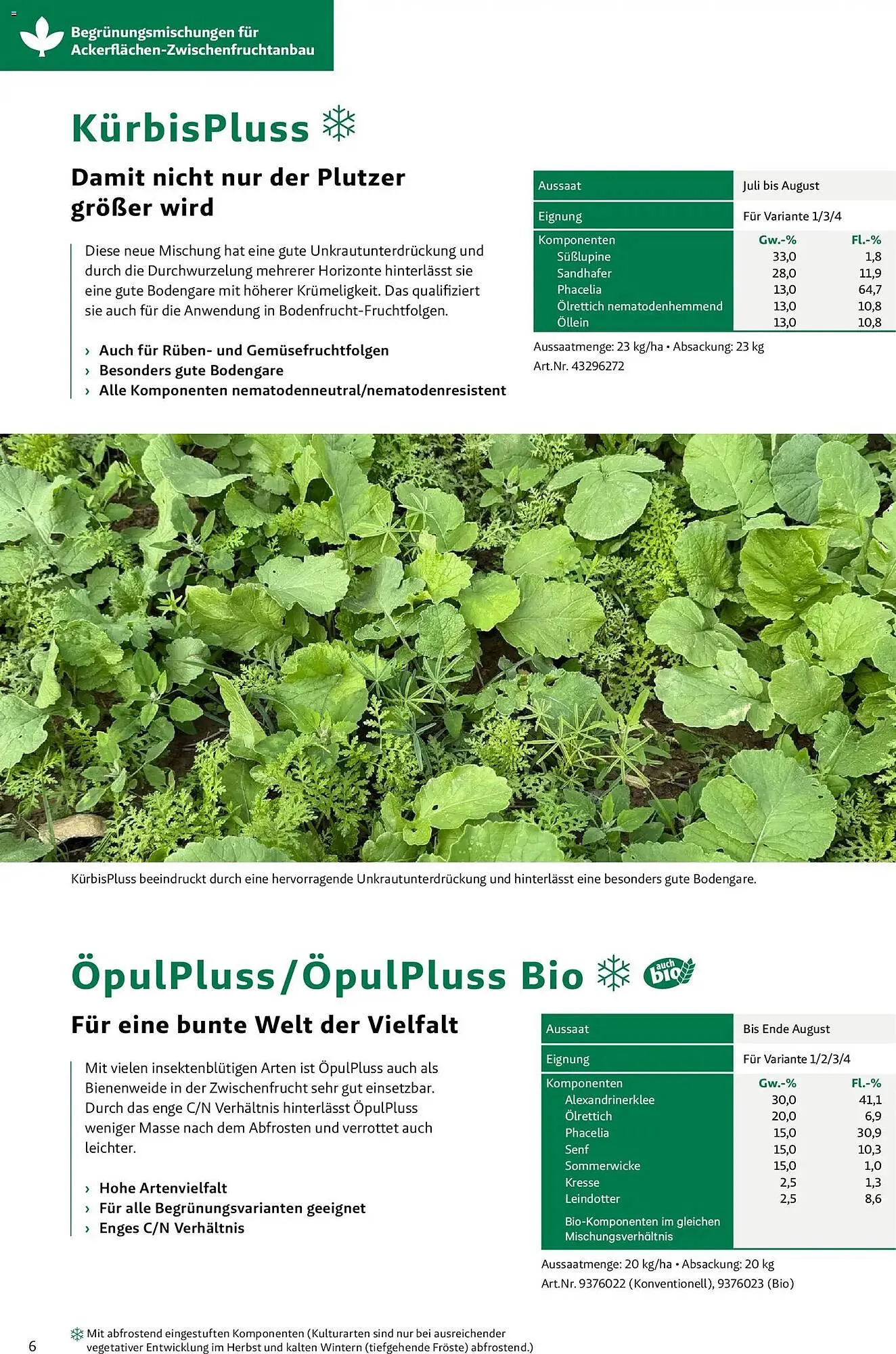 Lagerhaus Flugblatt von 26. März bis 26. September 2026 - Flugblätt seite  6