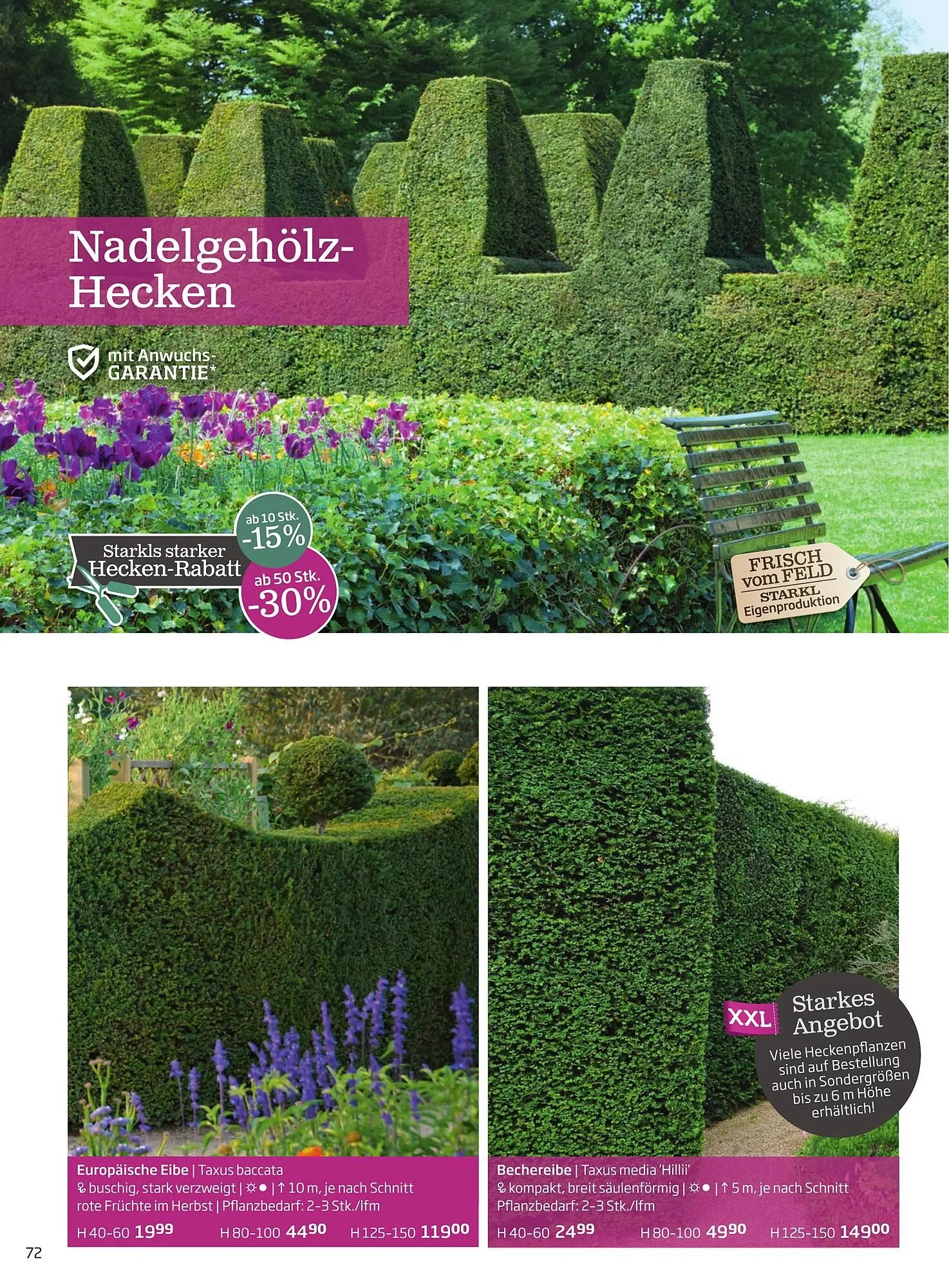 Starkl Flugblatt von 1. Jänner bis 31. Dezember 2023 - Flugblätt seite  72