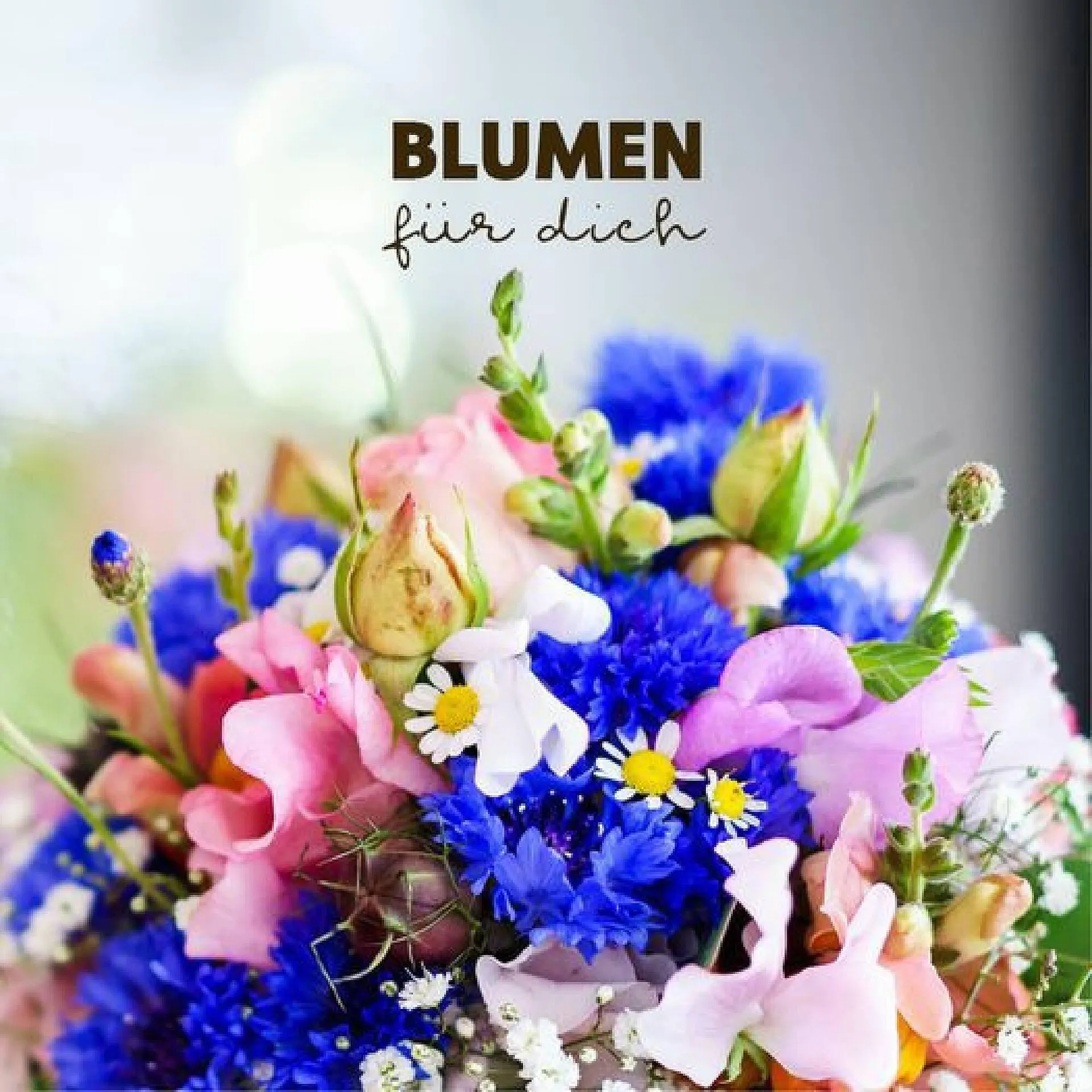 Denn's Biomarkt Flugblatt von 14. Februar bis 27. Februar 2024 - Flugblätt seite  