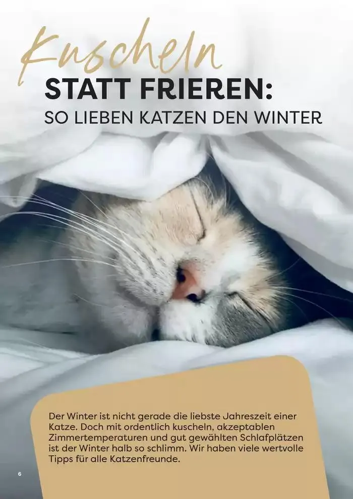 Angebote ZOO & Co von 29. November bis 13. Dezember 2024 - Flugblätt seite 6