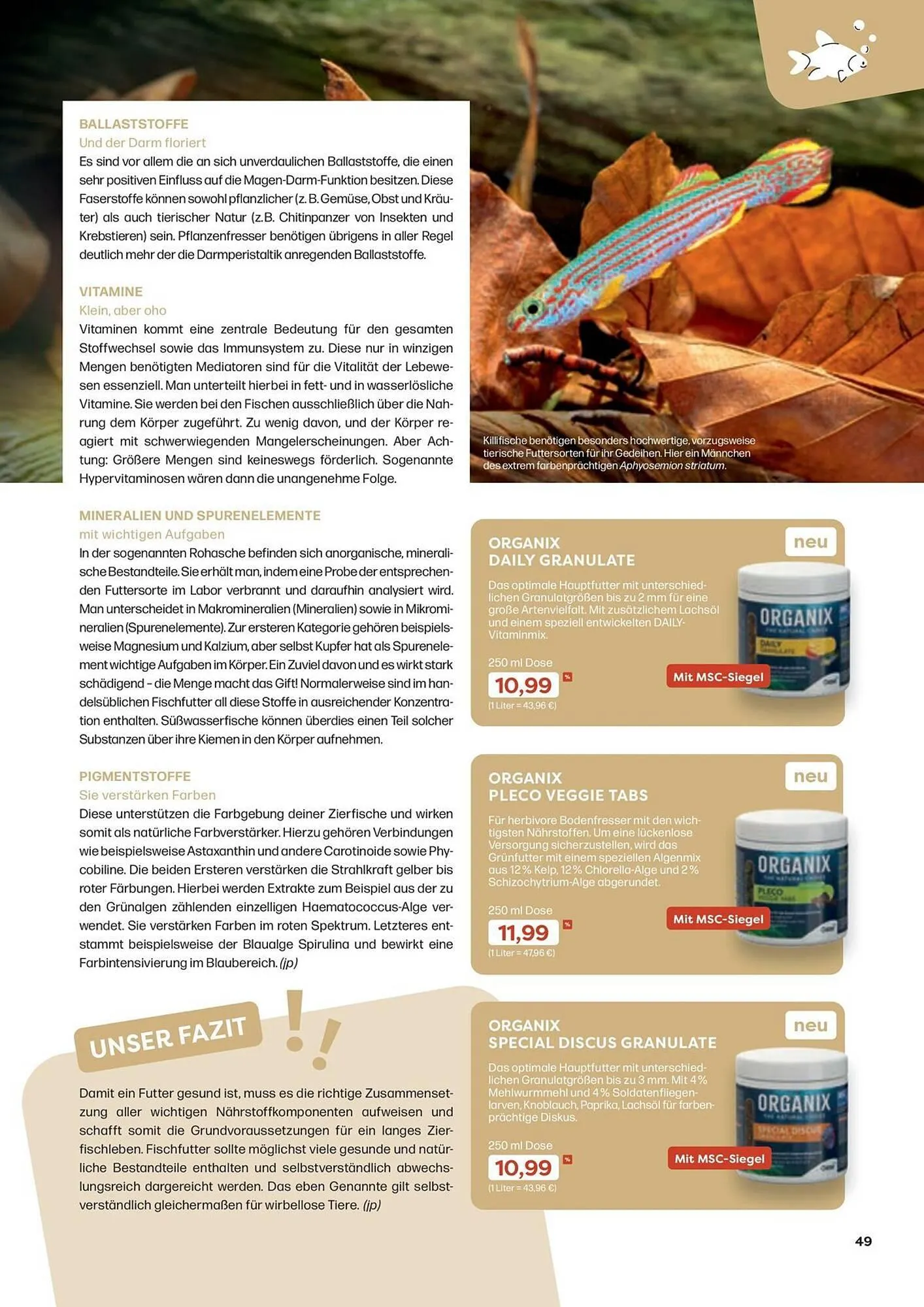 ZOO & Co Flugblatt von 30. August bis 8. November 2024 - Flugblätt seite 49