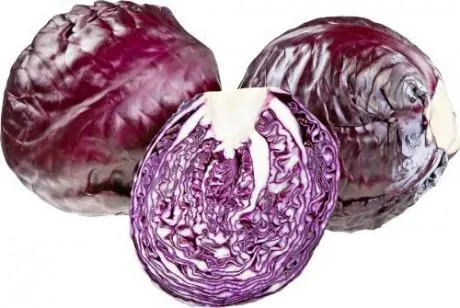 Rotkraut frisch Österreich