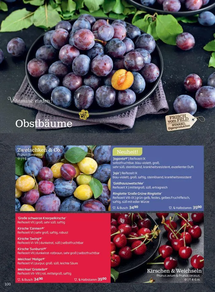 Gartencenter Jahreskatalog 2024 von 20. Mai bis 31. Dezember 2024 - Flugblätt seite 100