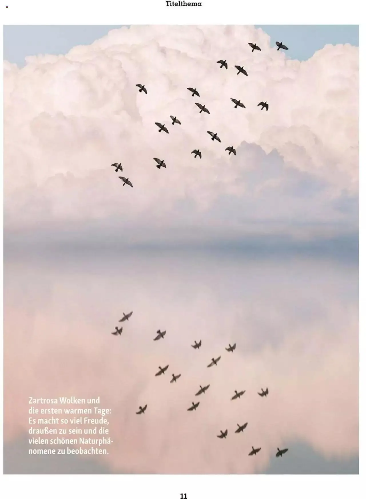 Fressnapf Friends 02/2023 von 1. März bis 31. Dezember 2023 - Flugblätt seite 11