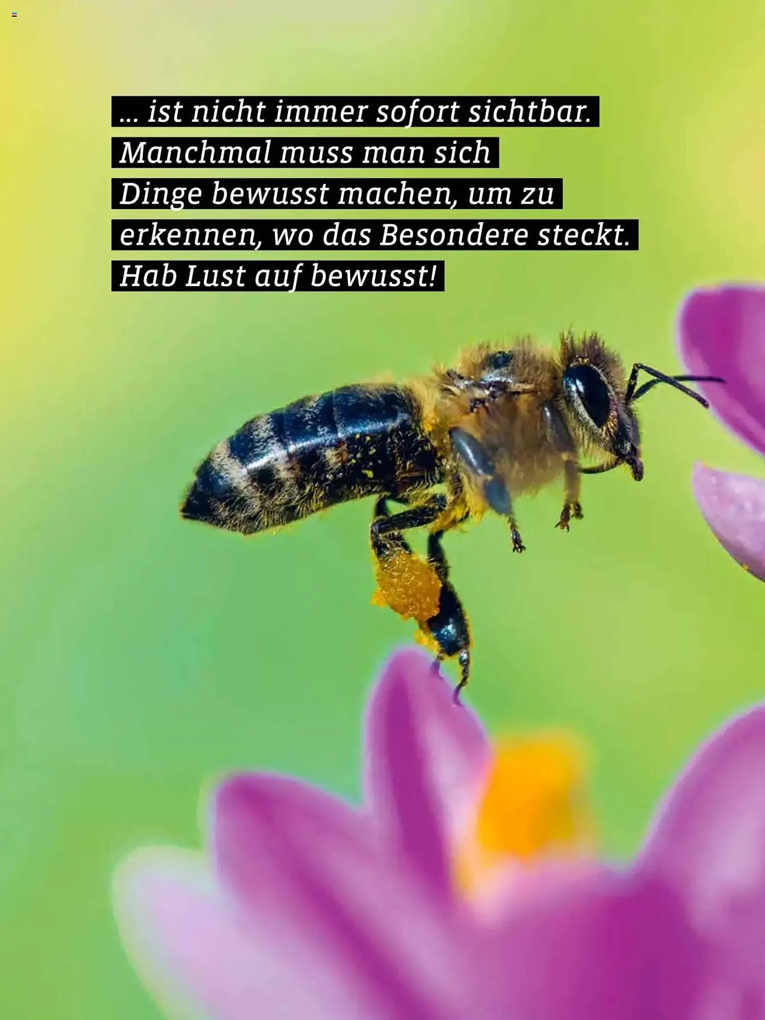 Denn's Biomarkt Flugblatt von 11. Februar bis 6. August 2025 - Flugblätt seite  2