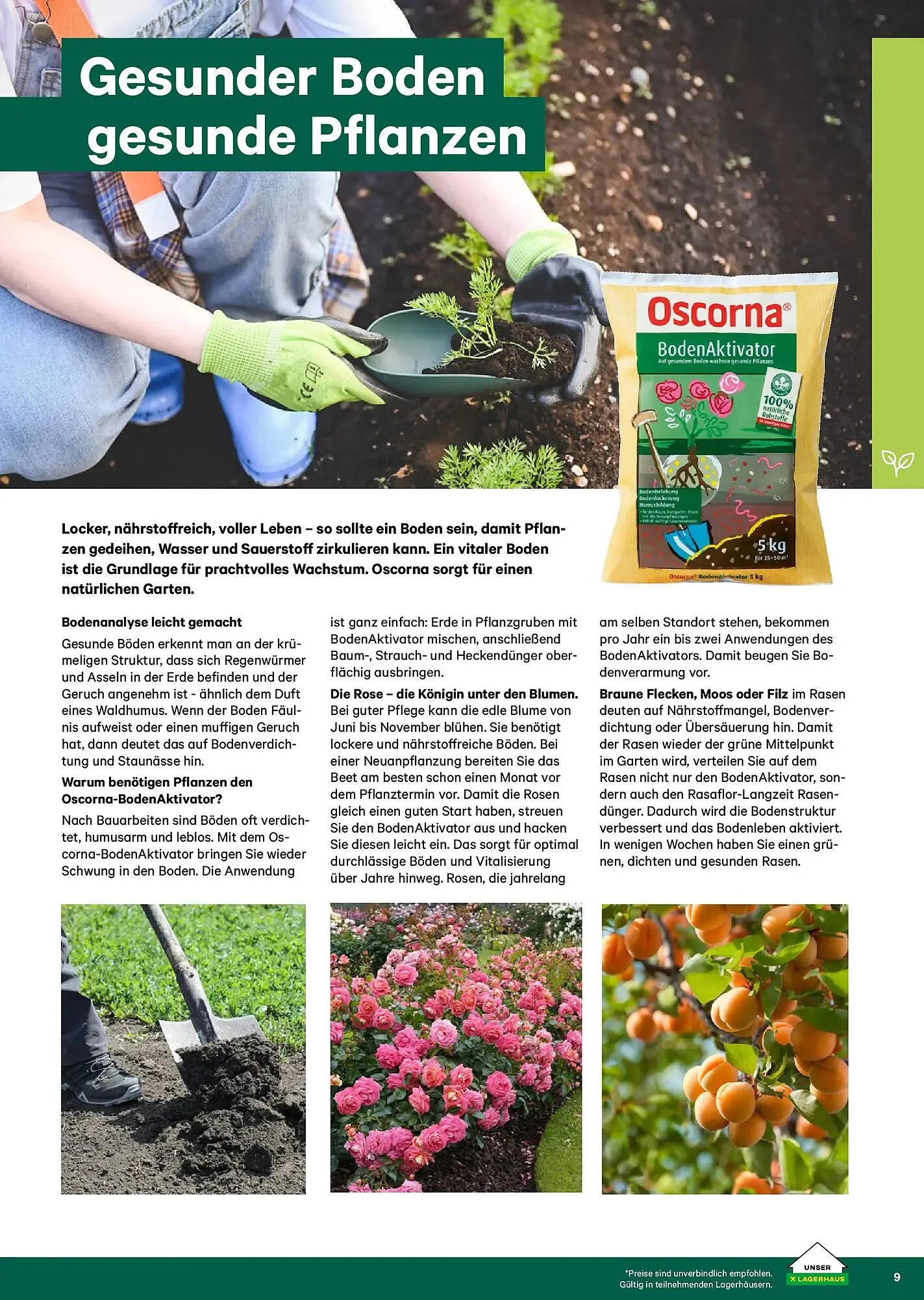 Lagerhaus Flugblatt von 22. Februar bis 31. Mai 2026 - Flugblätt seite  9