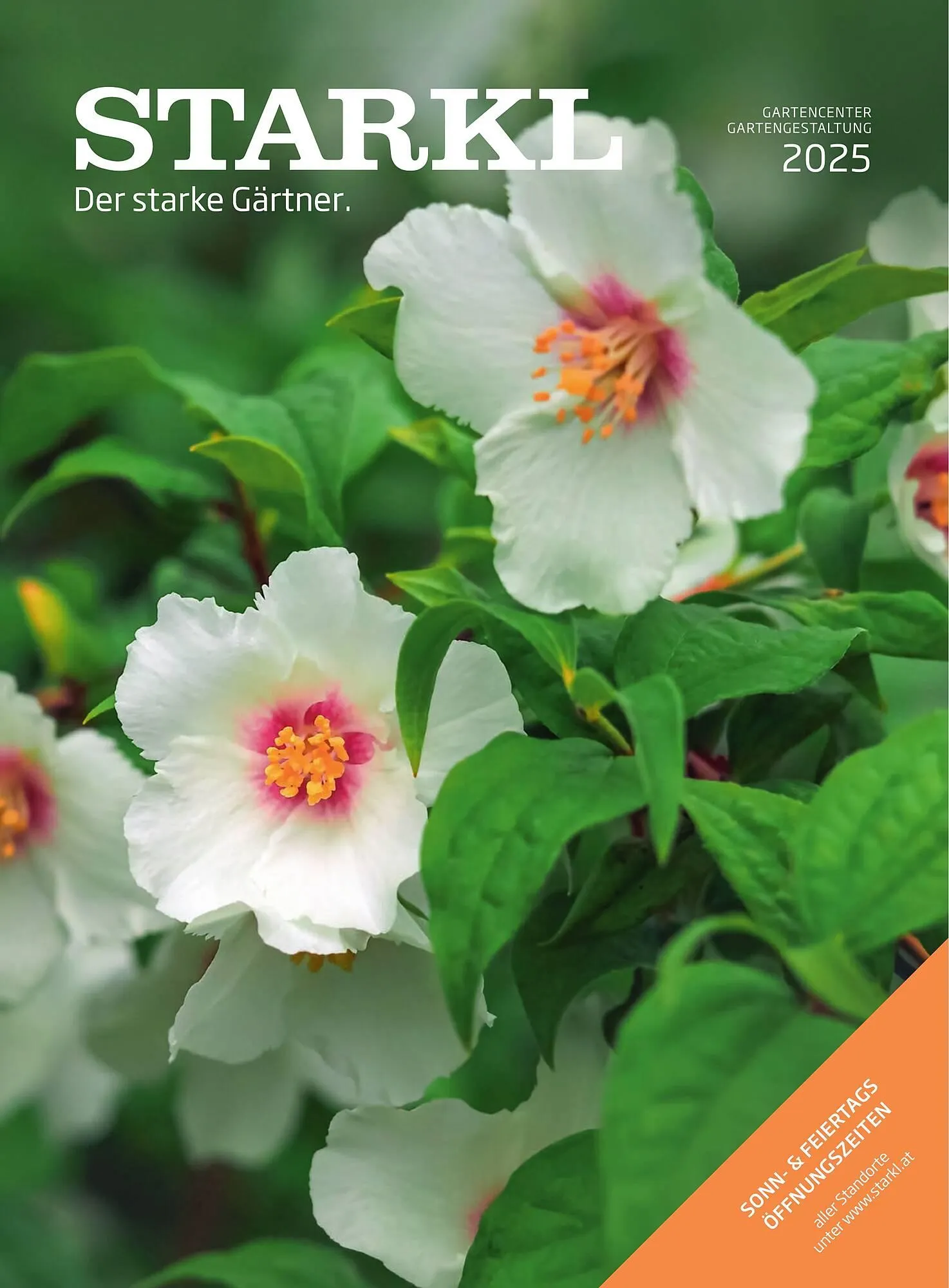 Starkl Flugblatt - 1