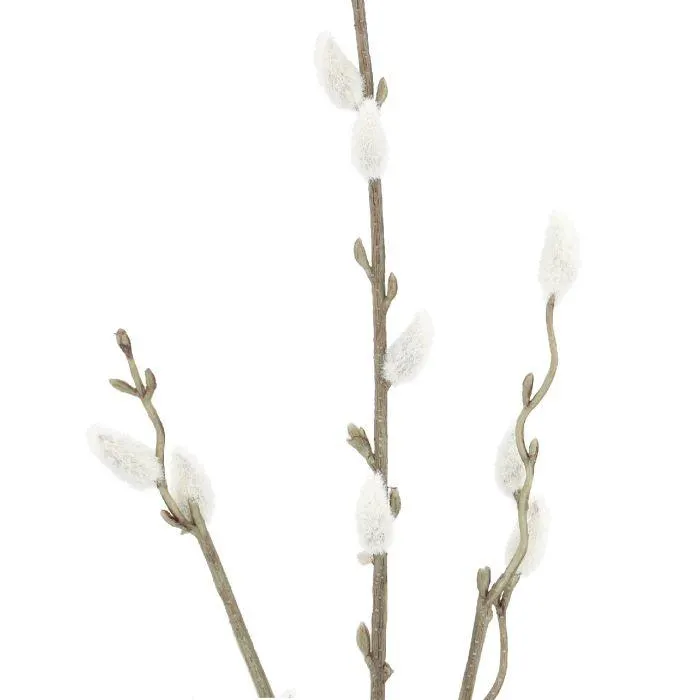 Zweig Weidenkätzchen, 76 cm