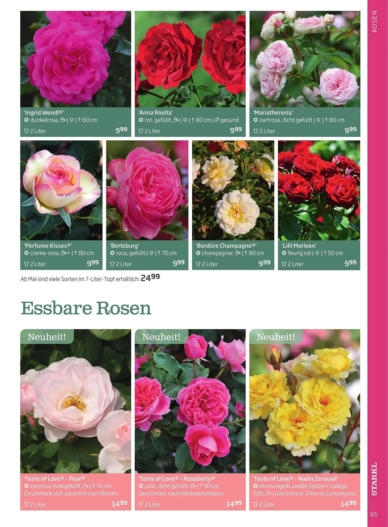 Starkl Flugblatt von 1. Jänner bis 31. Dezember 2023 - Flugblätt seite  65