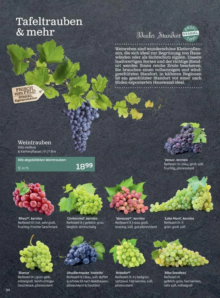 Gartencenter Jahreskatalog 2024 von 20. Mai bis 31. Dezember 2024 - Flugblätt seite  94