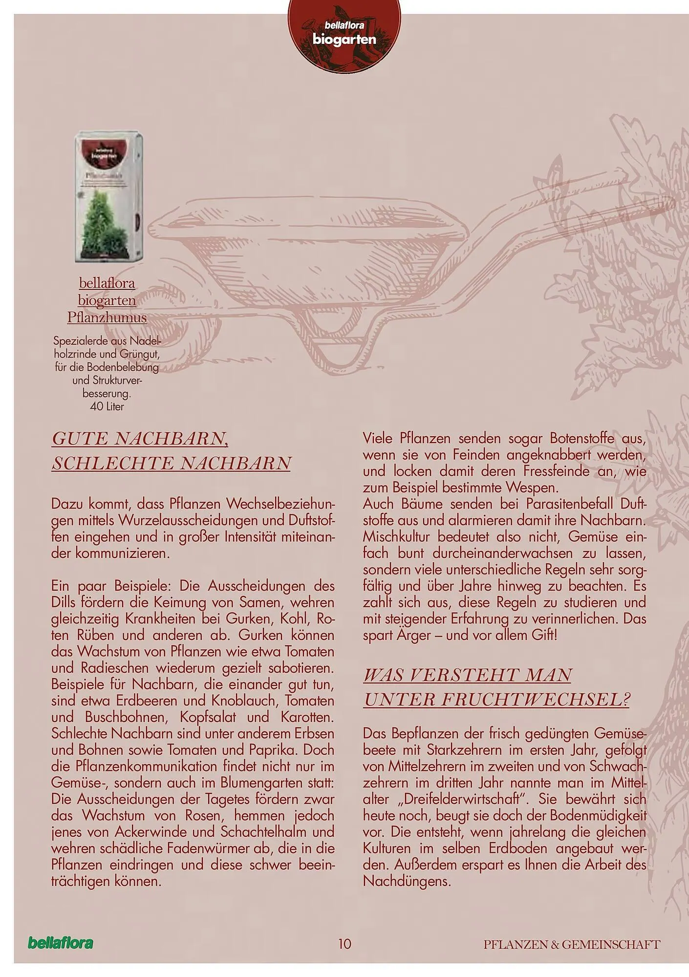 Bellaflora Flugblatt von 3. Jänner bis 31. Mai 2025 - Flugblätt seite 10