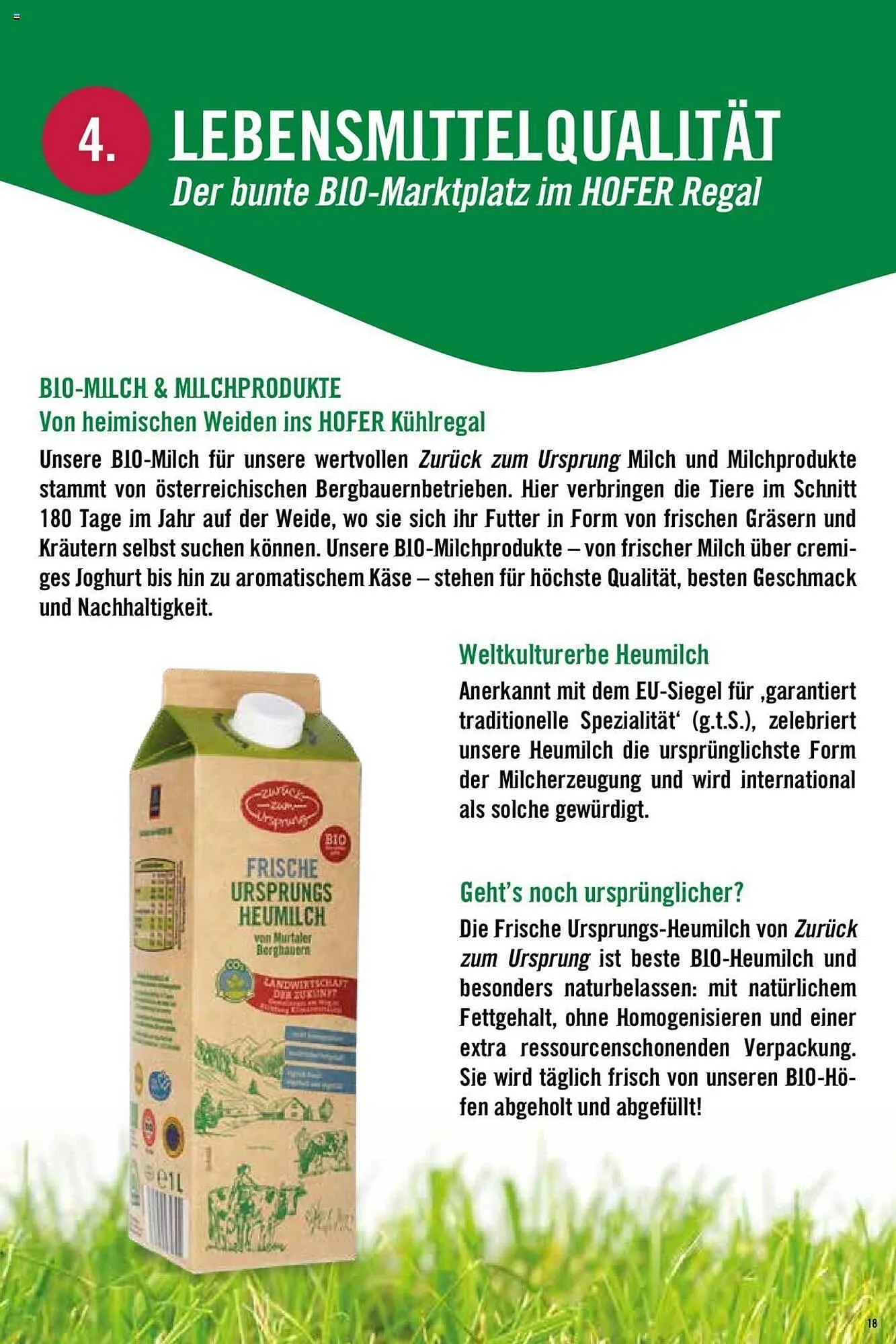 Hofer Flugblatt von 8. Oktober bis 4. März 2026 - Flugblätt seite 18