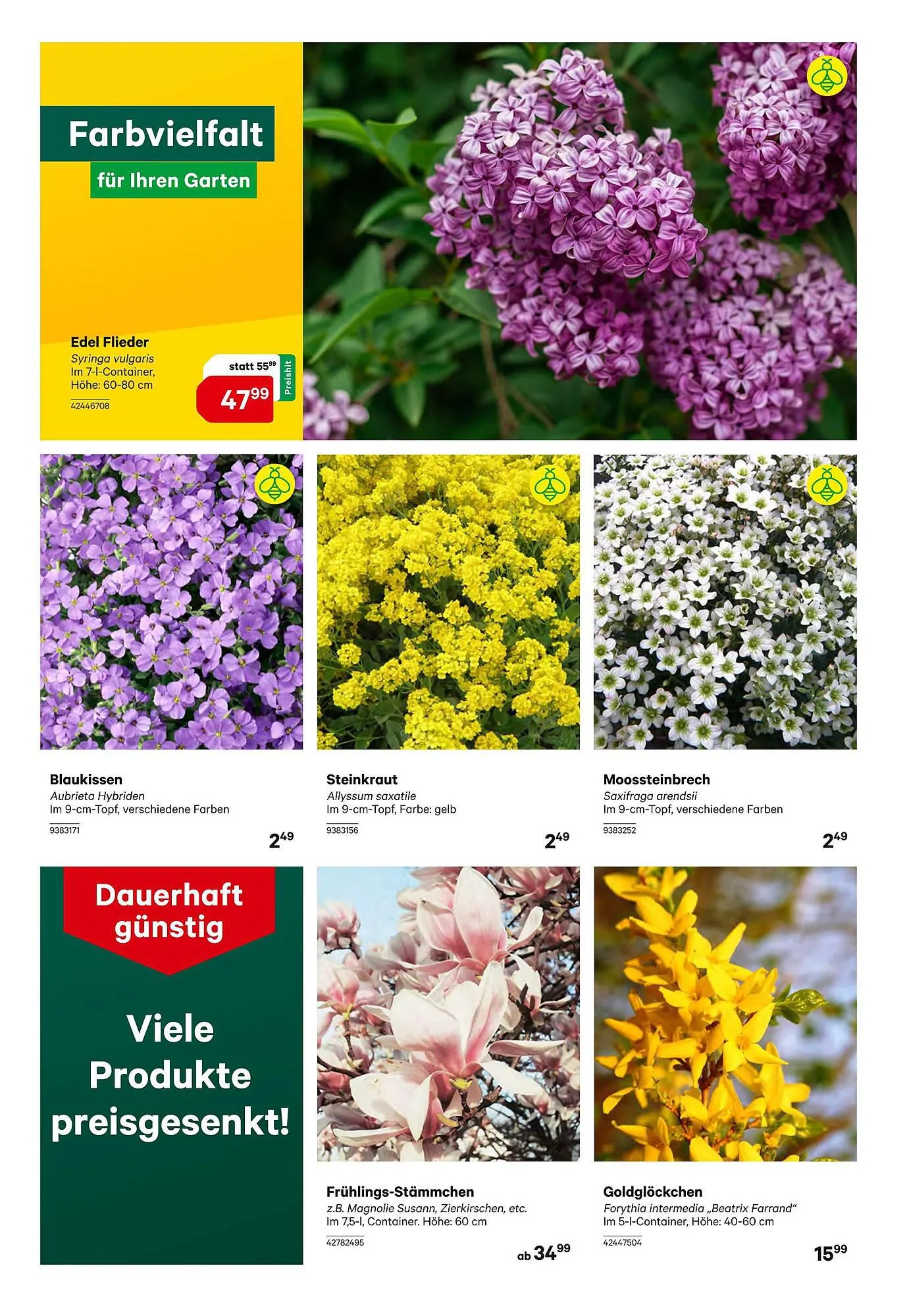 BayWa Flugblatt von 14. März bis 30. März 2024 - Flugblätt seite 8