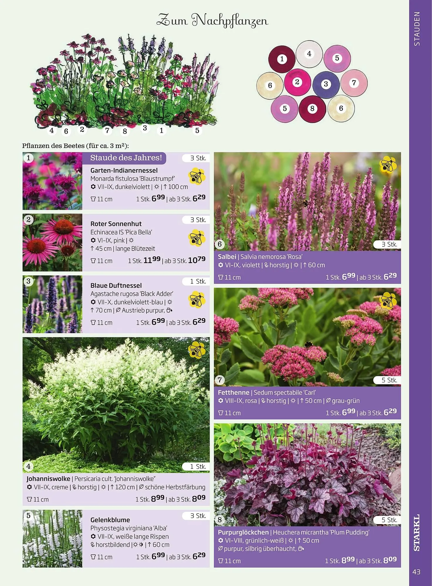 Starkl Flugblatt von 1. Jänner bis 31. Dezember 2023 - Flugblätt seite 43