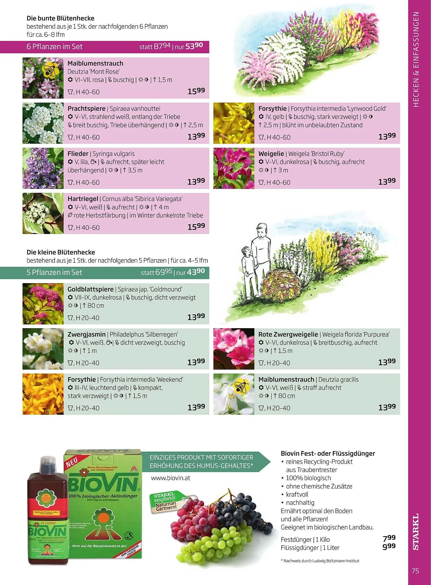 Starkl Flugblatt von 1. Jänner bis 31. Dezember 2023 - Flugblätt seite  75