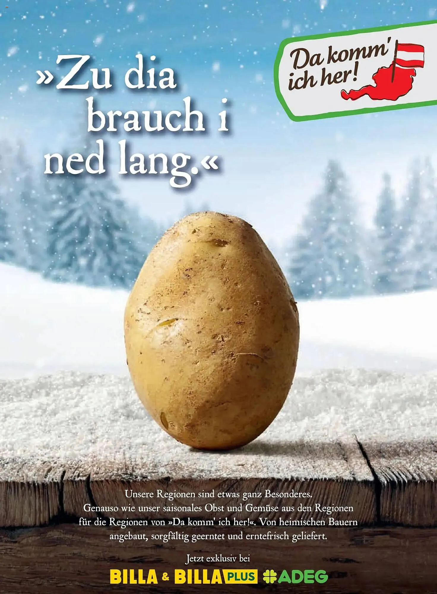 Billa Flugblatt von 1. Jänner bis 28. Februar 2026 - Flugblätt seite  46