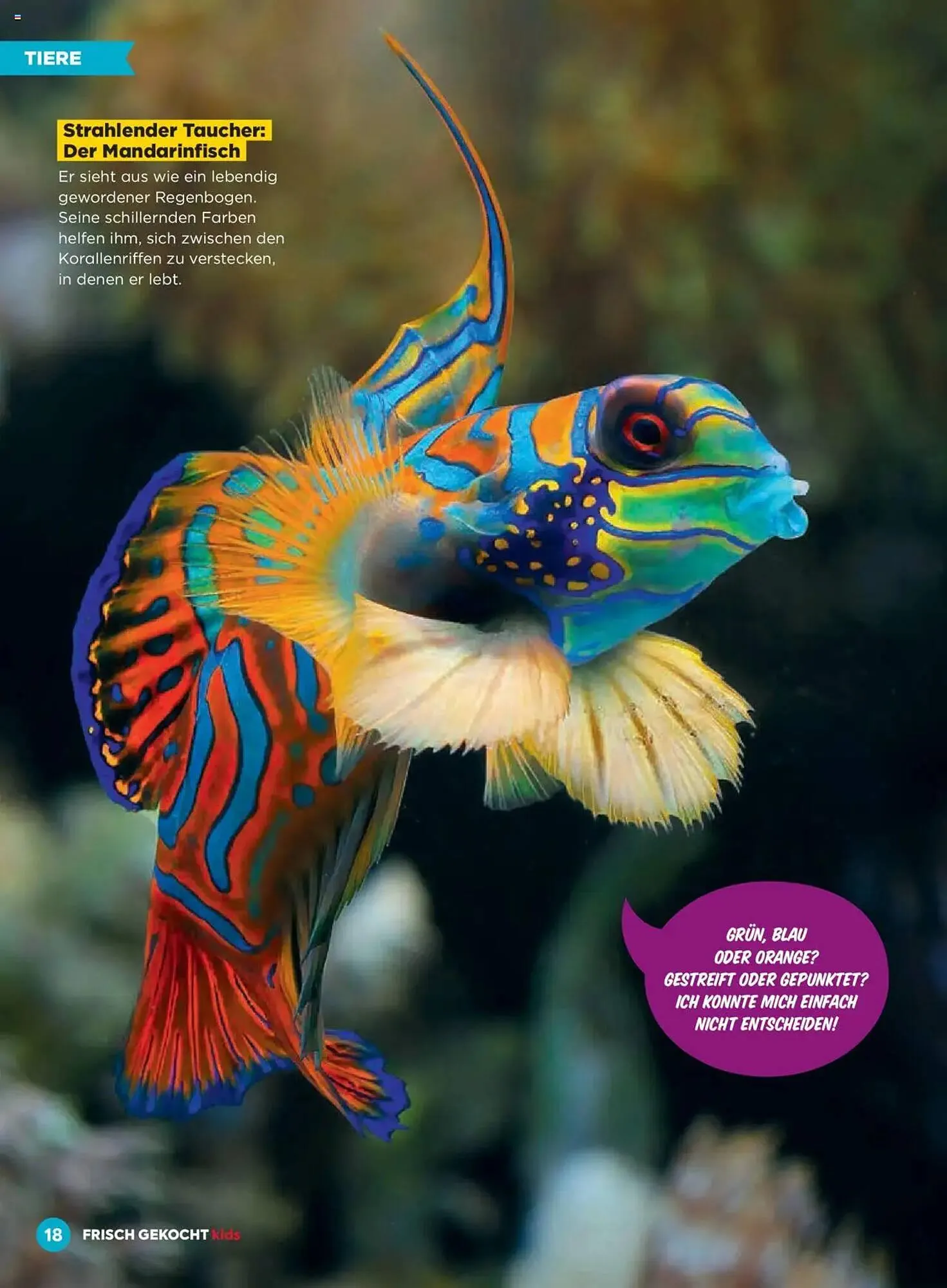 Billa Flugblatt von 1. Jänner bis 28. Februar 2025 - Flugblätt seite  18