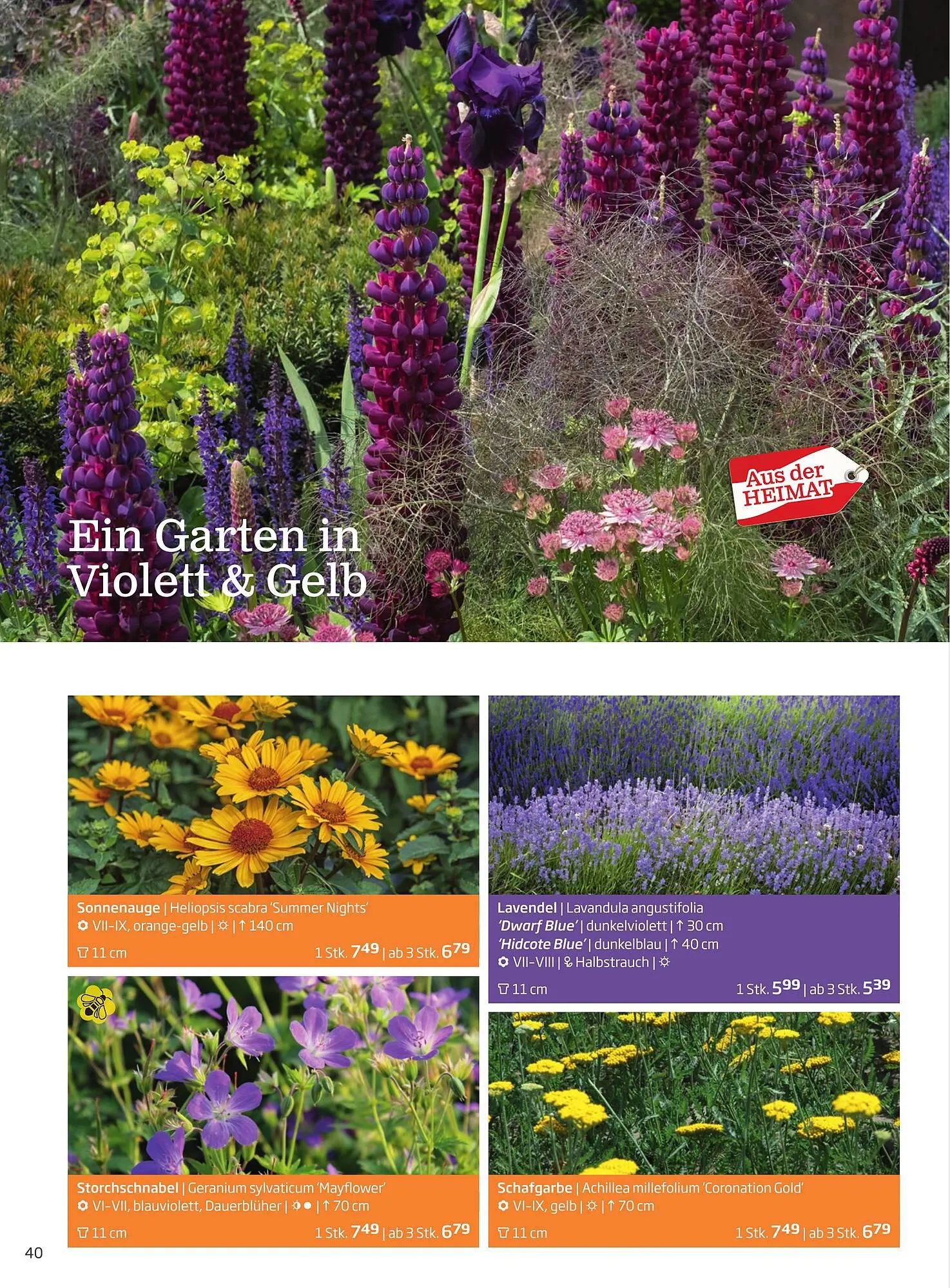 Starkl Flugblatt von 1. April bis 31. Dezember 2024 - Flugblätt seite  40