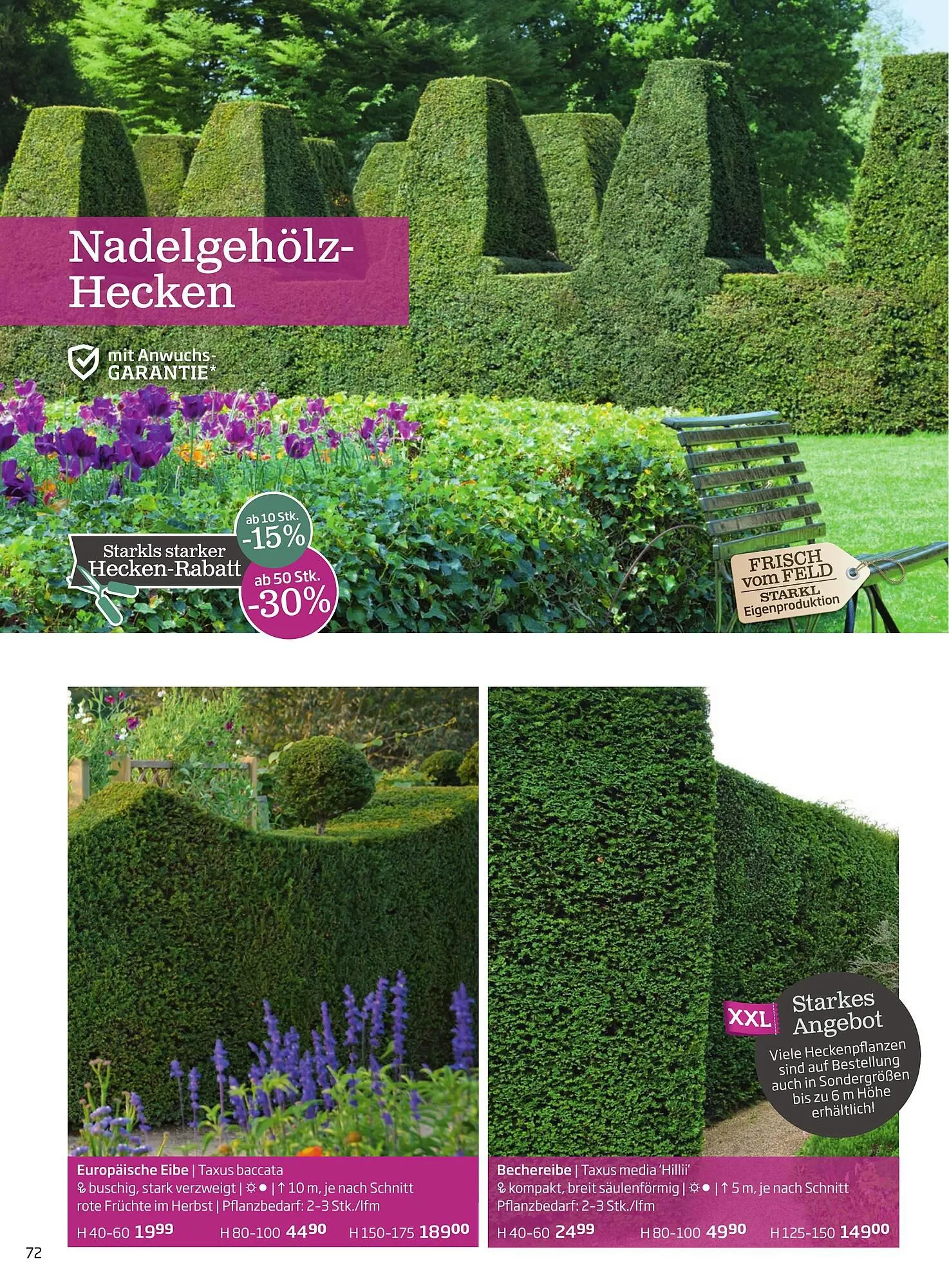 Starkl Flugblatt von 1. April bis 31. Dezember 2024 - Flugblätt seite 72