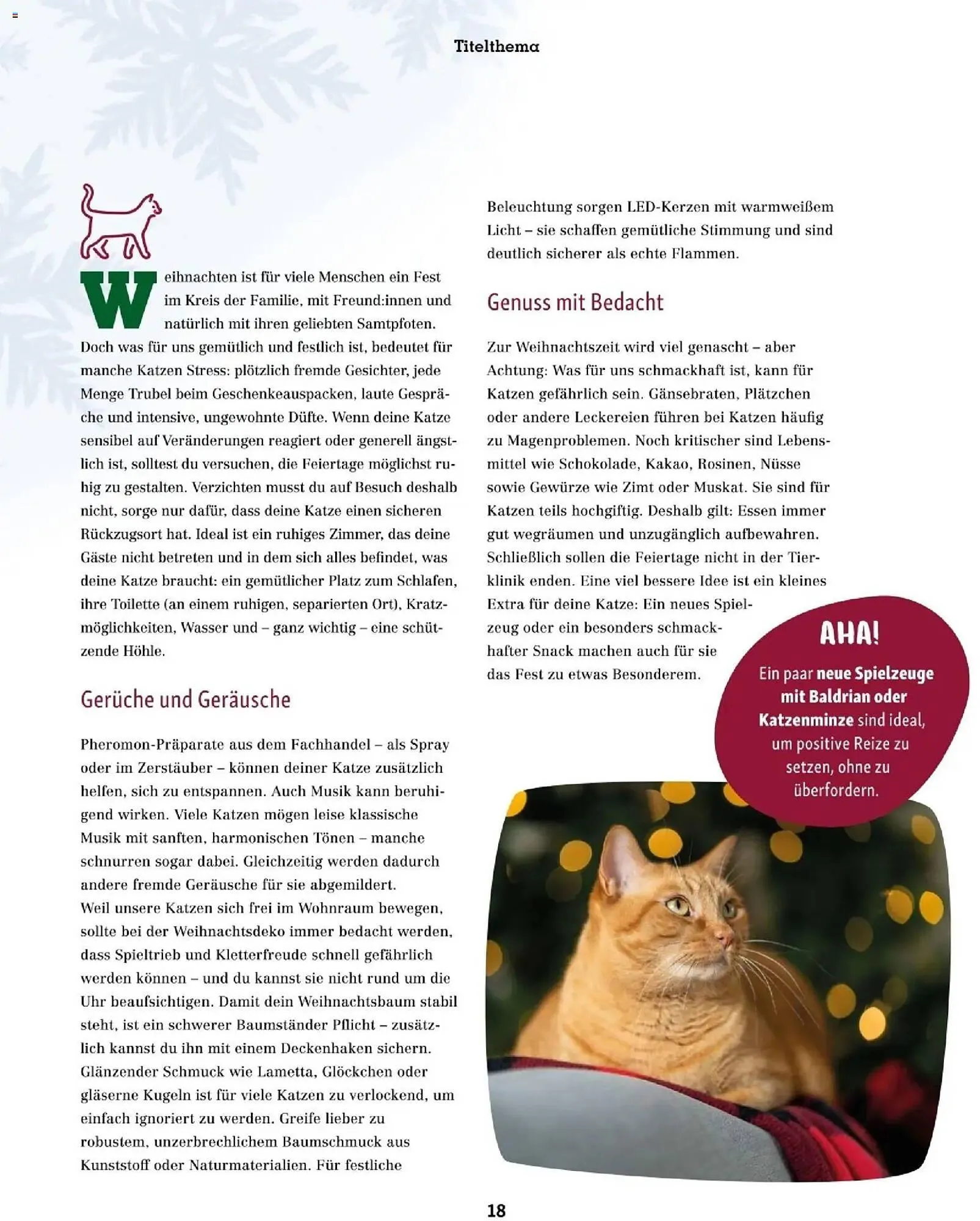 Fressnapf Flugblatt von 1. November bis 31. Dezember 2025 - Flugblätt seite 18