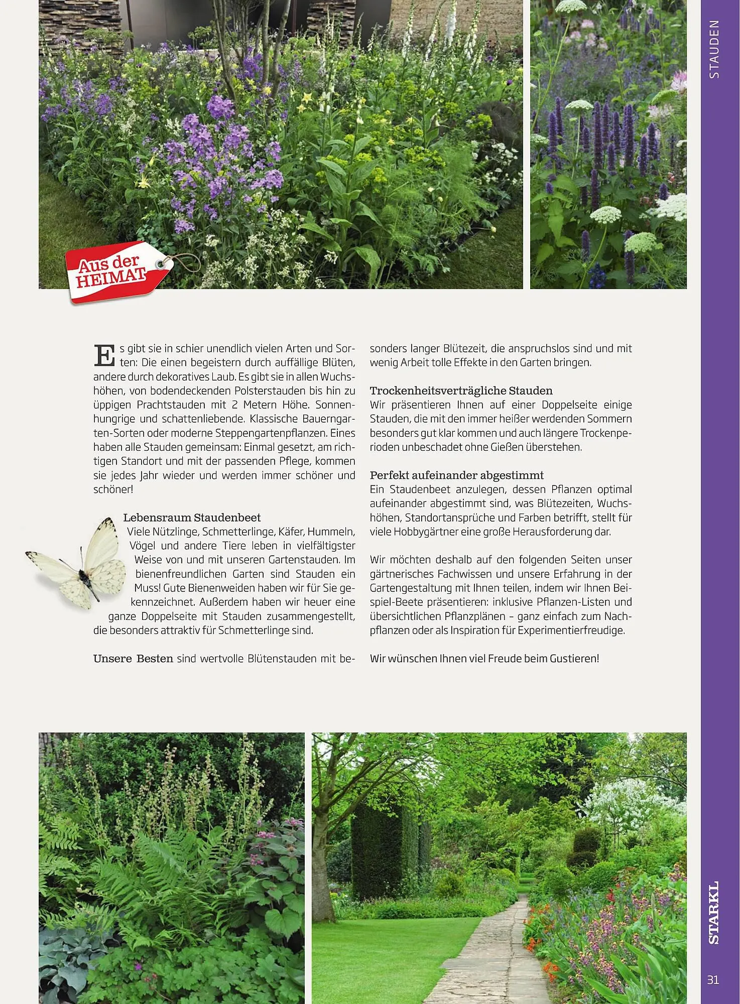 Starkl Flugblatt von 1. April bis 31. Dezember 2024 - Flugblätt seite  31