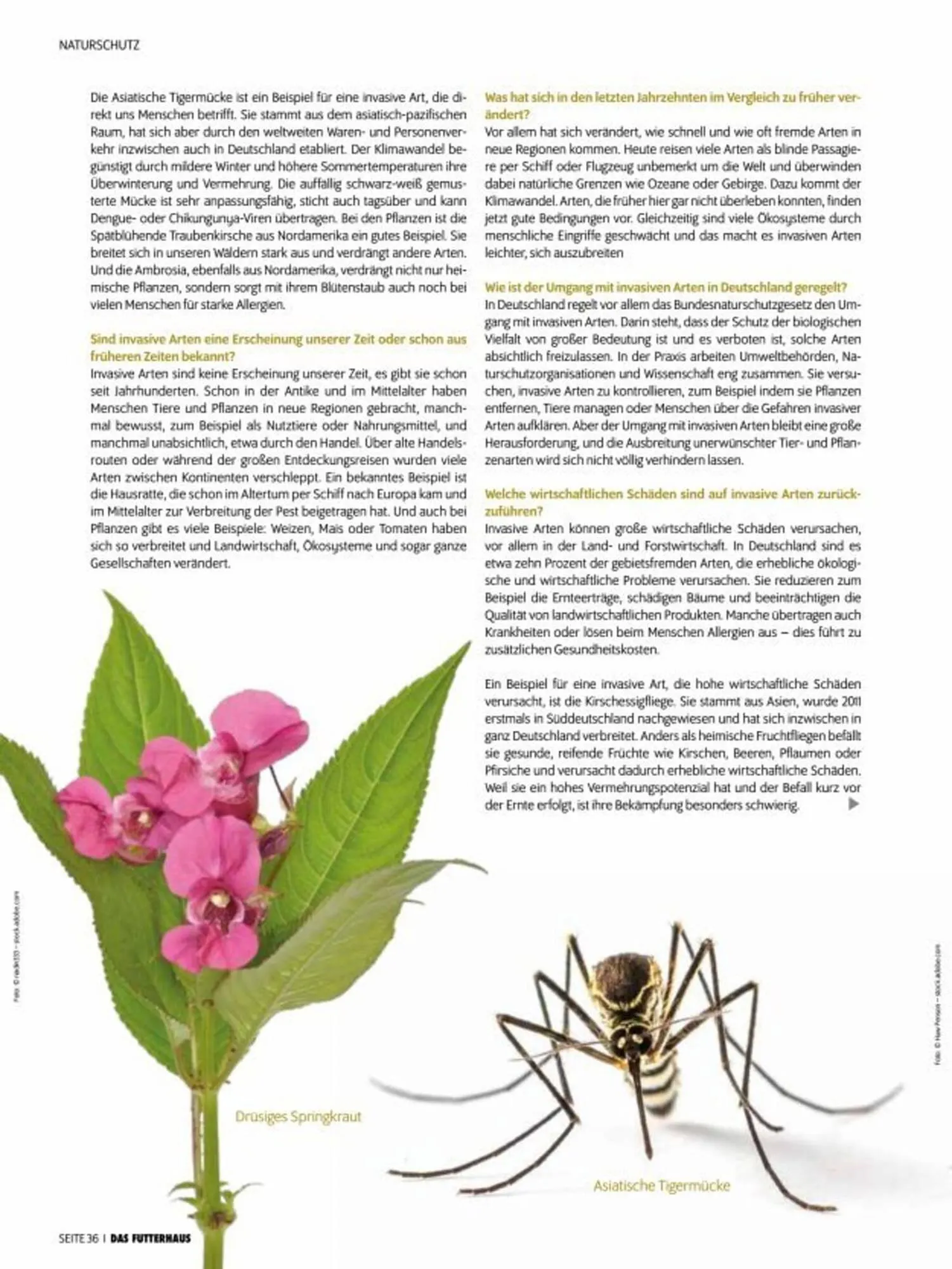 Das Futterhaus Prospekt von 3. Oktober bis 30. November 2025 - Flugblätt seite 36