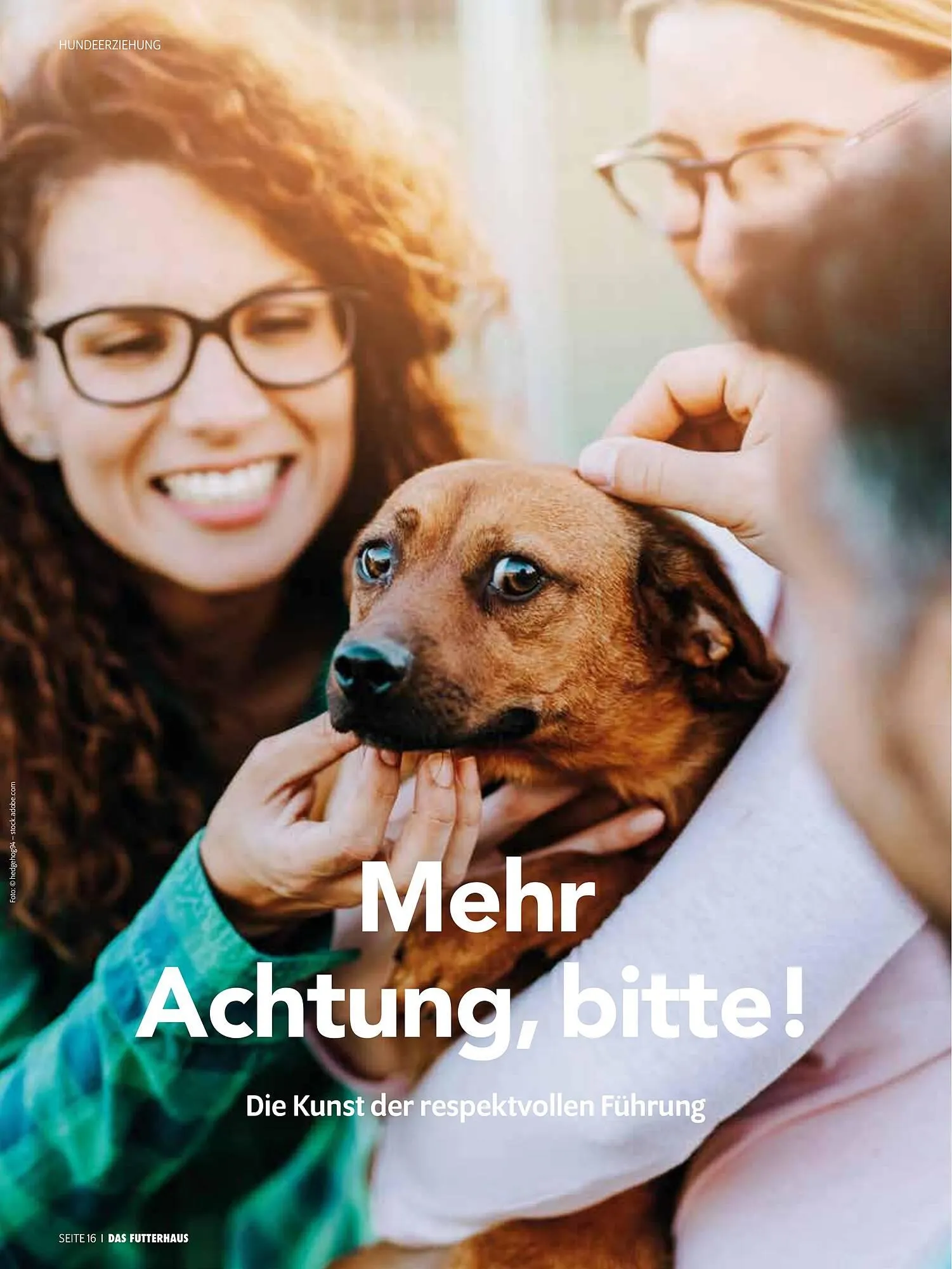 Das Futterhaus Prospekt von 16. Februar bis 8. März 2026 - Flugblätt seite 16