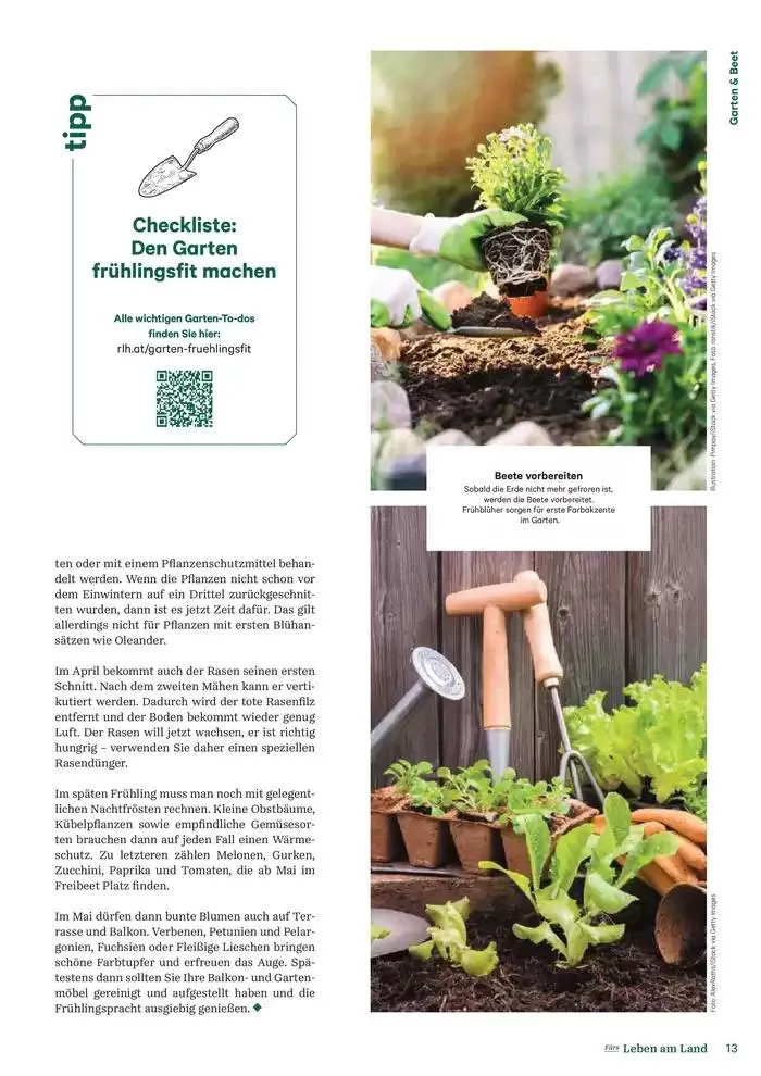 Nr. 1 - Lagerhaus Magazin 2025 von 28. Jänner bis 11. Februar 2025 - Flugblätt seite  13