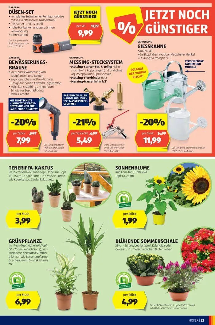 Blättern Sie online im HOFER Flugblatt von 31. Juli bis 14. August 2024 - Flugblätt seite 37