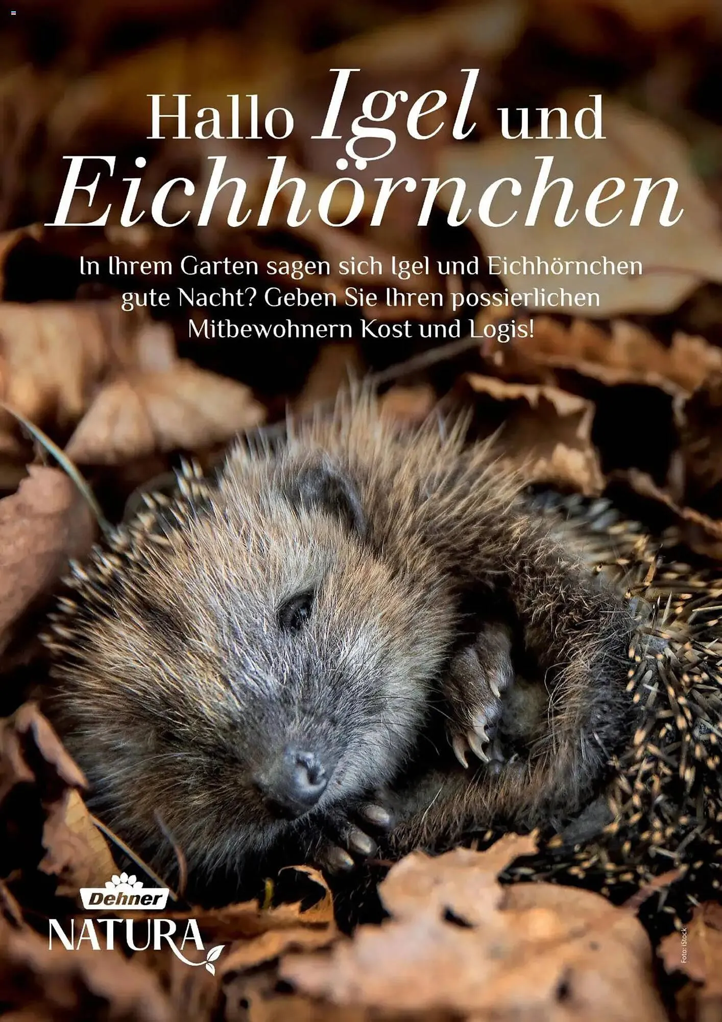 Dehner Flugblatt von 10. Oktober bis 30. November 2025 - Flugblätt seite  90