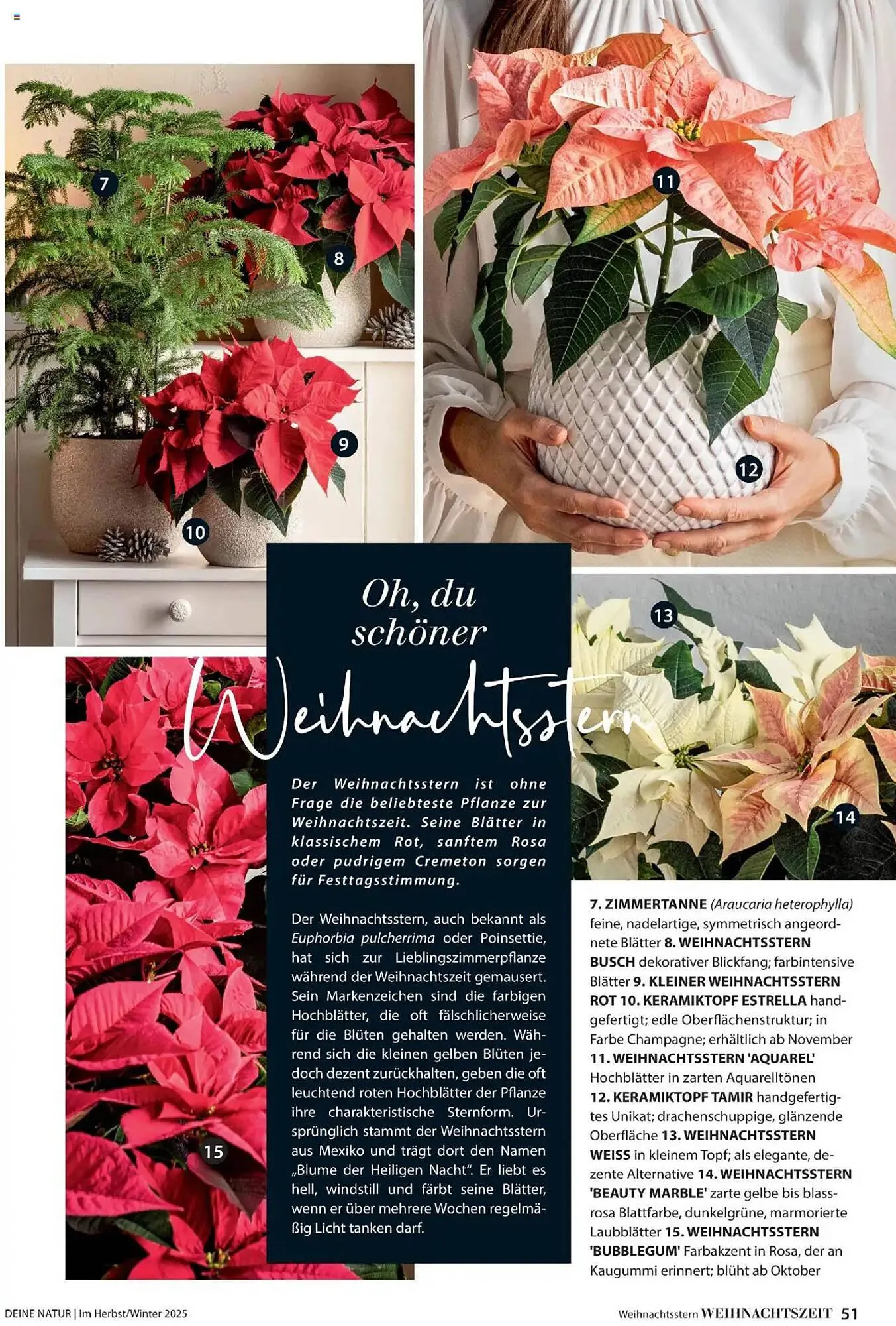 Dehner Flugblatt von 10. Oktober bis 30. November 2025 - Flugblätt seite  51