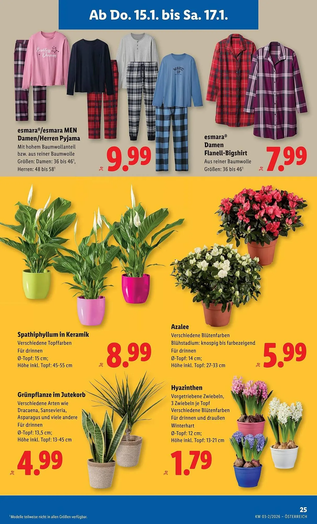 Lidl Flugblatt von 15. Jänner bis 22. Jänner 2026 - Flugblätt seite  29