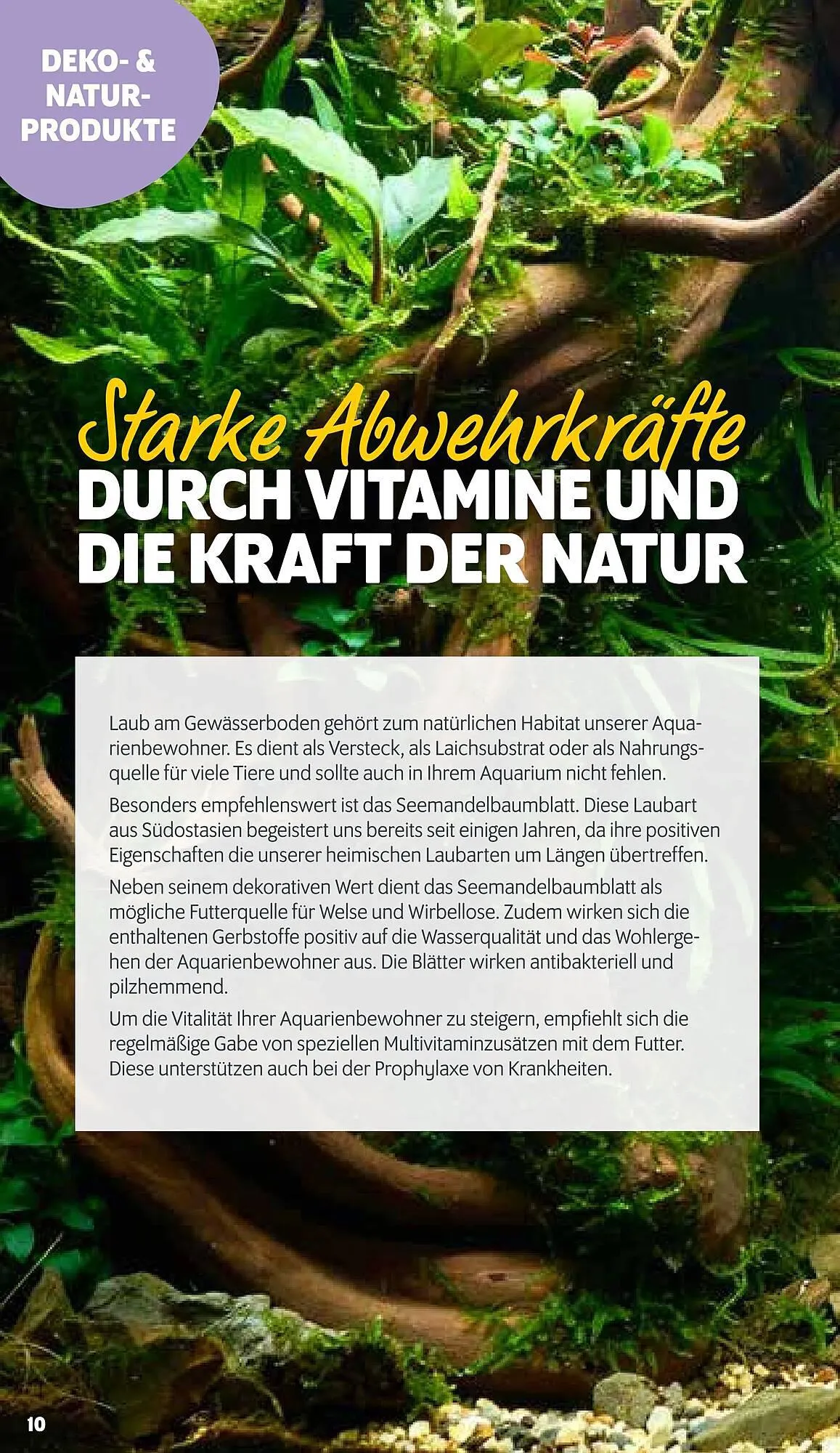 Das Futterhaus Flugblatt von 23. Februar bis 23. März 2024 - Flugblätt seite 10