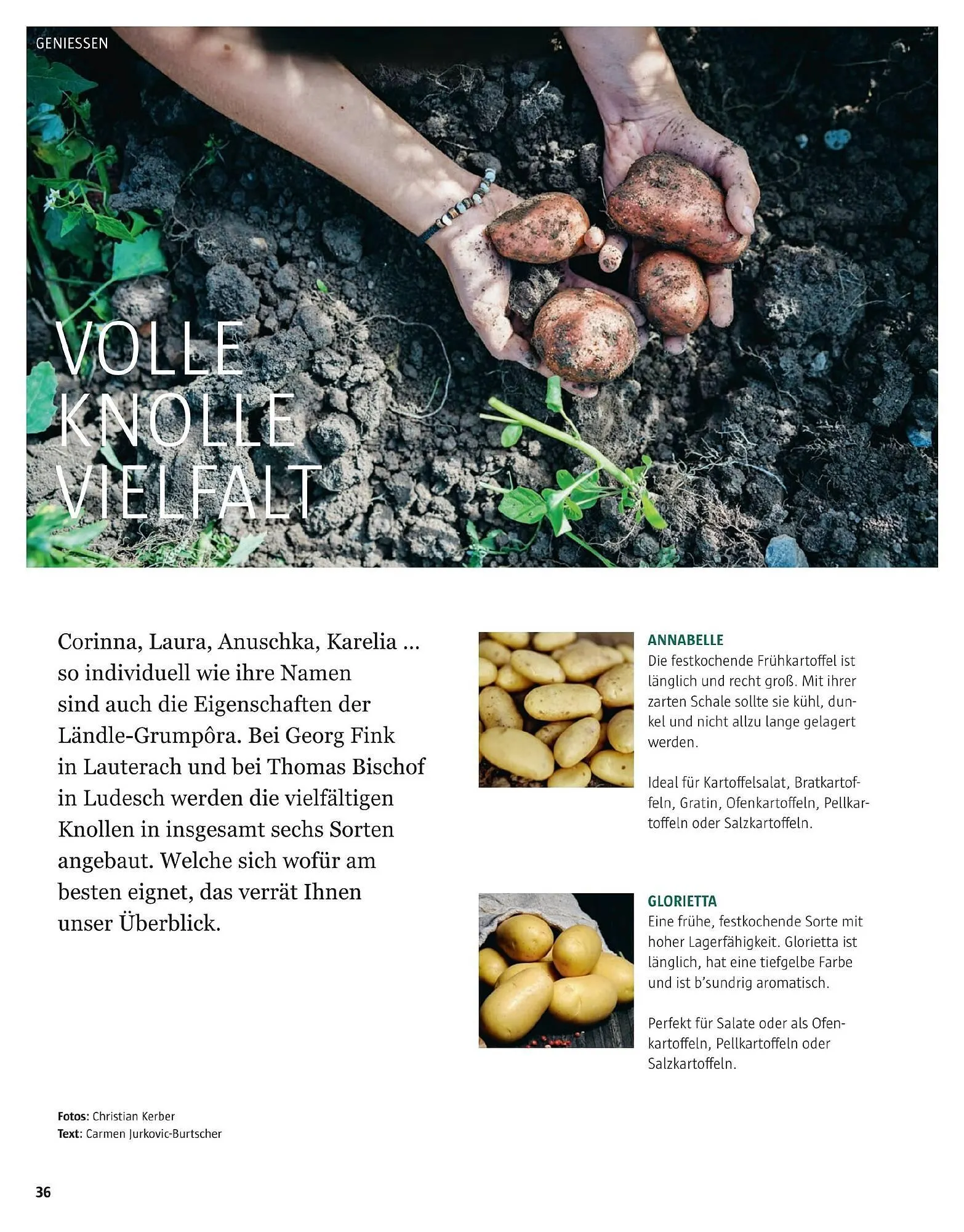 Sutterlüty Flugblatt von 17. November bis 29. Jänner 2026 - Flugblätt seite  36