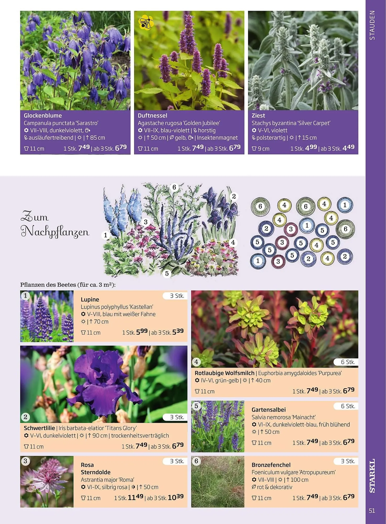 Starkl Flugblatt von 6. Juni bis 31. Dezember 2025 - Flugblätt seite 51