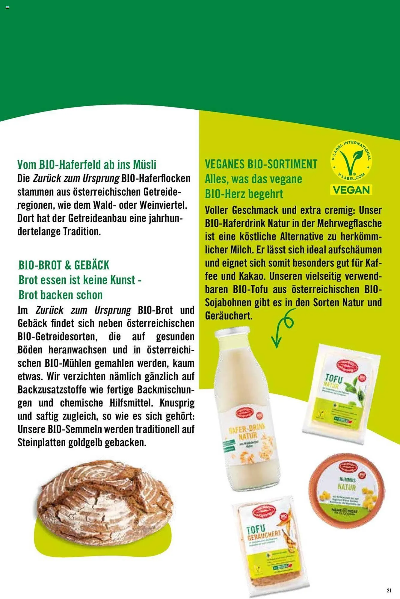 Hofer Flugblatt von 8. Oktober bis 4. März 2026 - Flugblätt seite  21