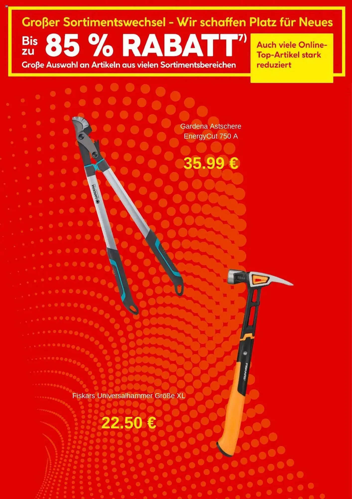 Hellweg Flugblatt von 16. Jänner bis 14. Februar 2025 - Flugblätt seite 5