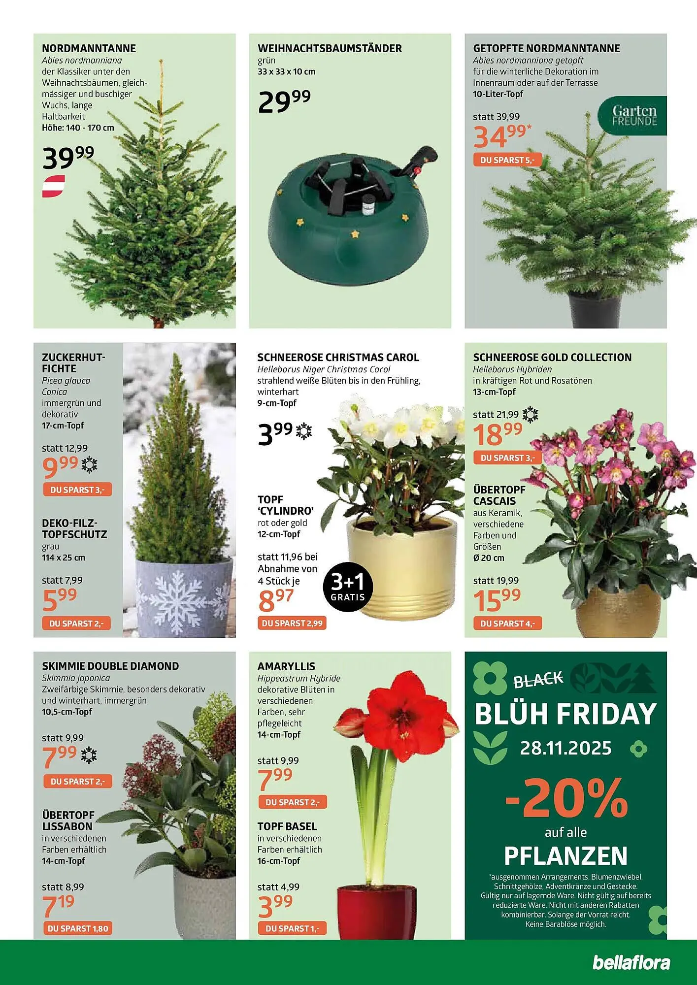 Bellaflora Flugblatt von 20. November bis 6. Dezember 2025 - Flugblätt seite  7