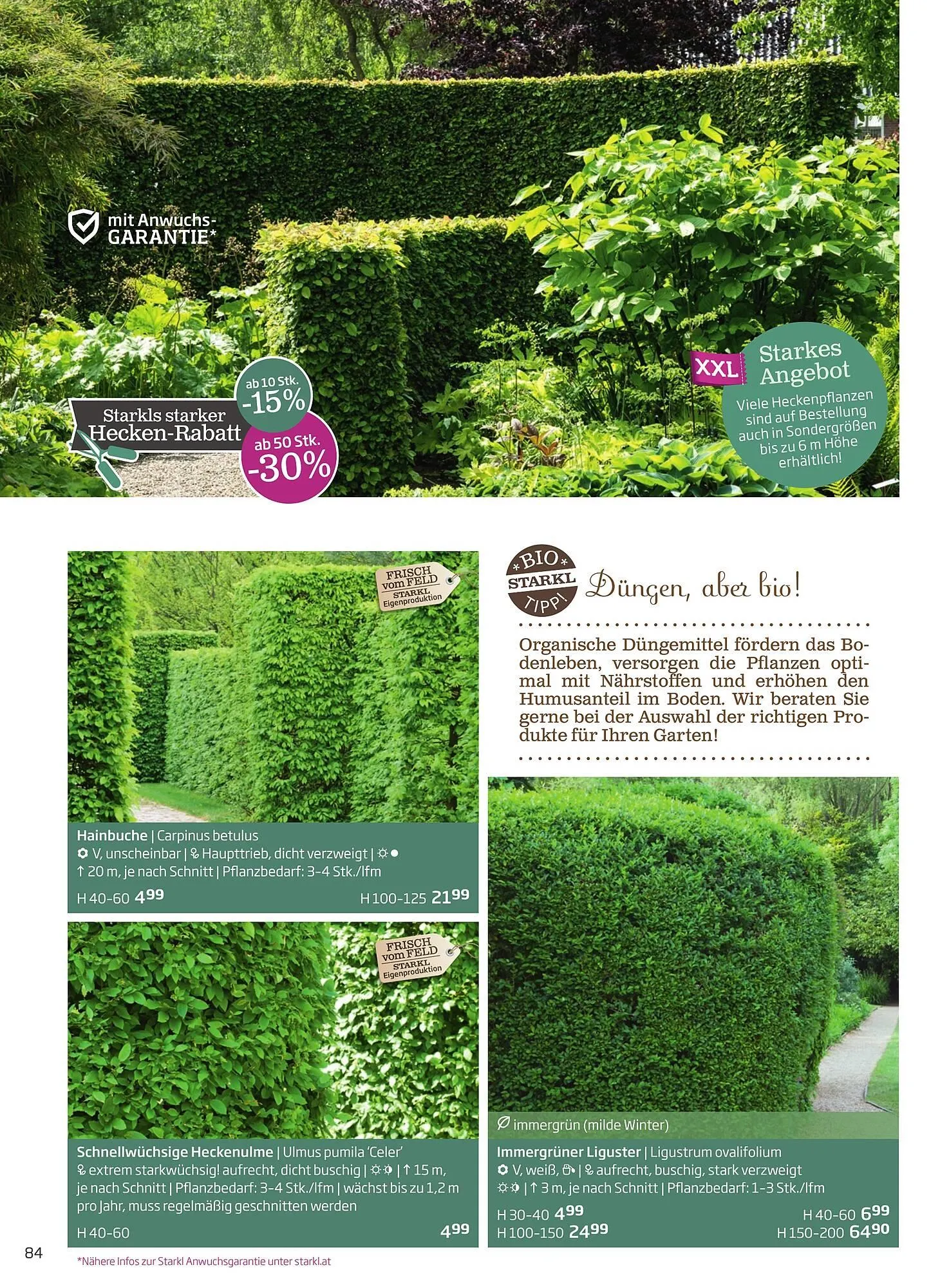 Starkl Flugblatt von 6. Juni bis 31. Dezember 2025 - Flugblätt seite 84