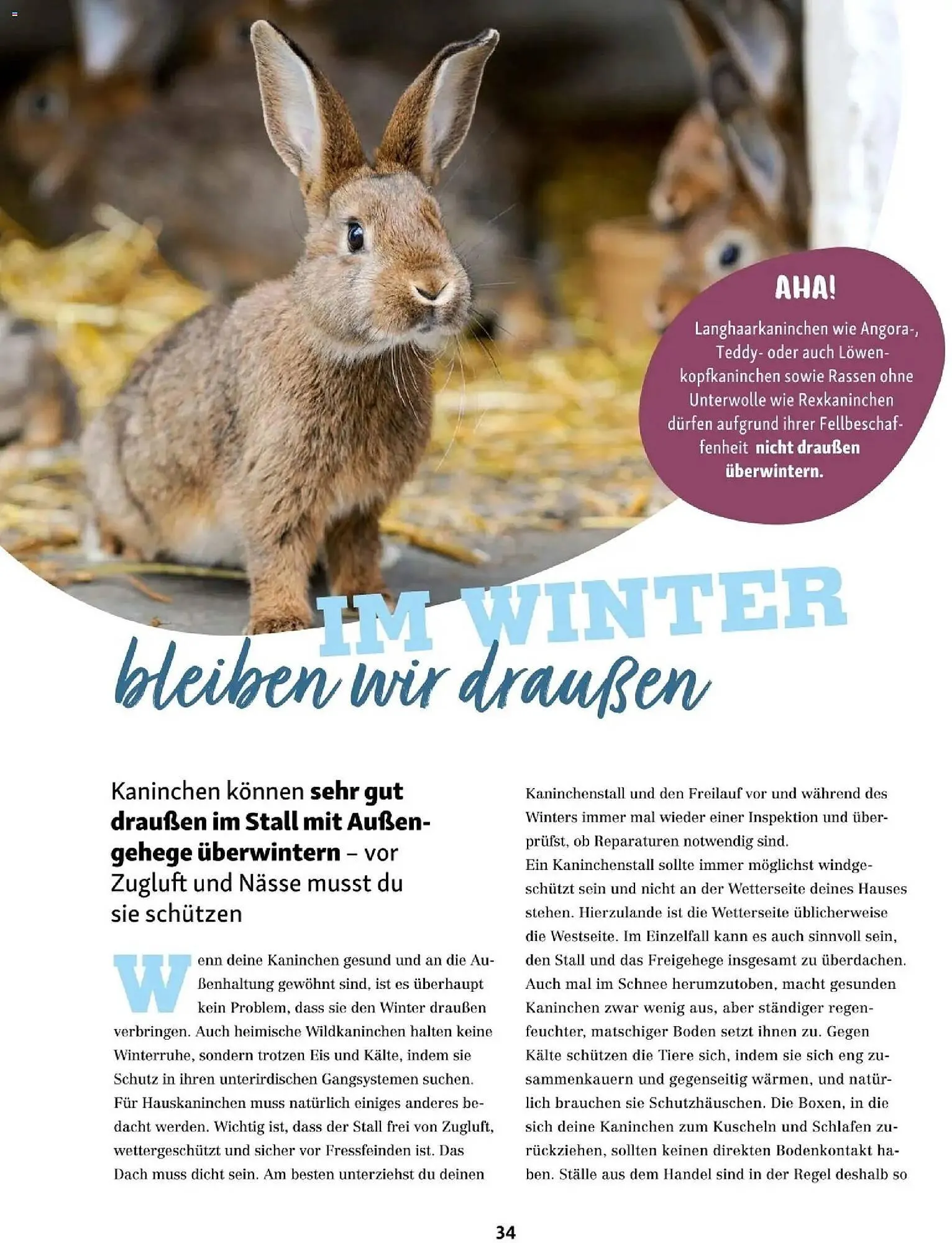 Fressnapf Flugblatt von 1. November bis 31. Dezember 2025 - Flugblätt seite  34