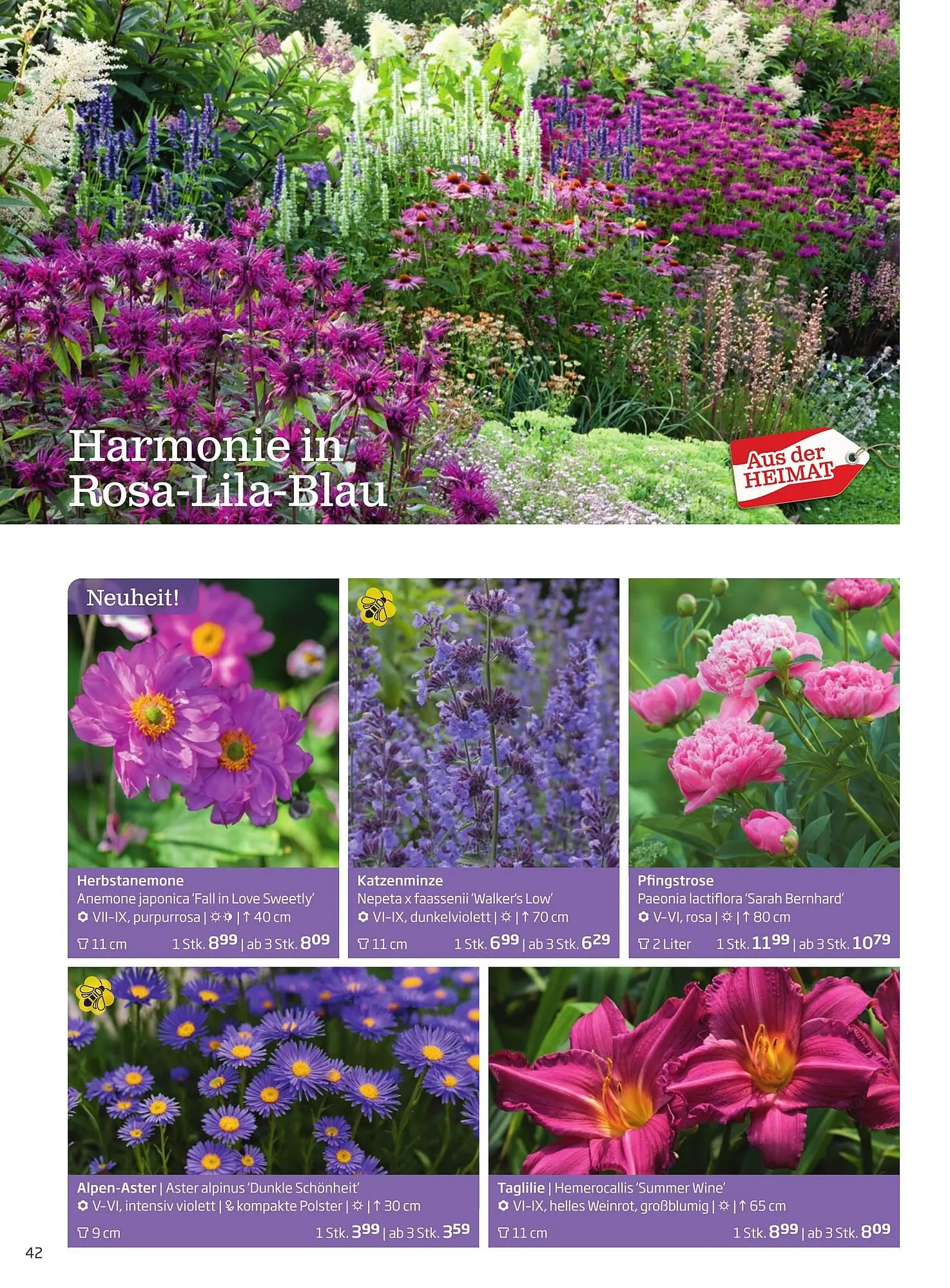 Starkl Flugblatt von 1. Jänner bis 31. Dezember 2023 - Flugblätt seite  42