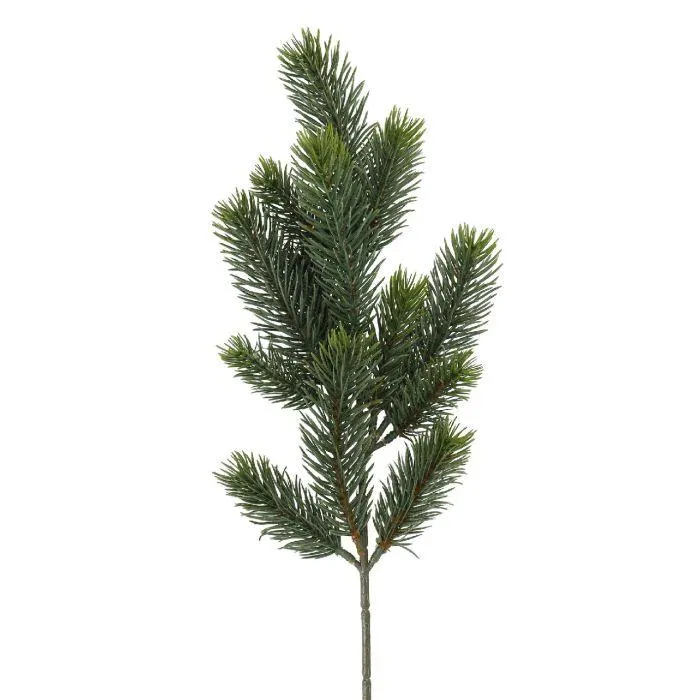 Zweig Edeltanne, 50 cm