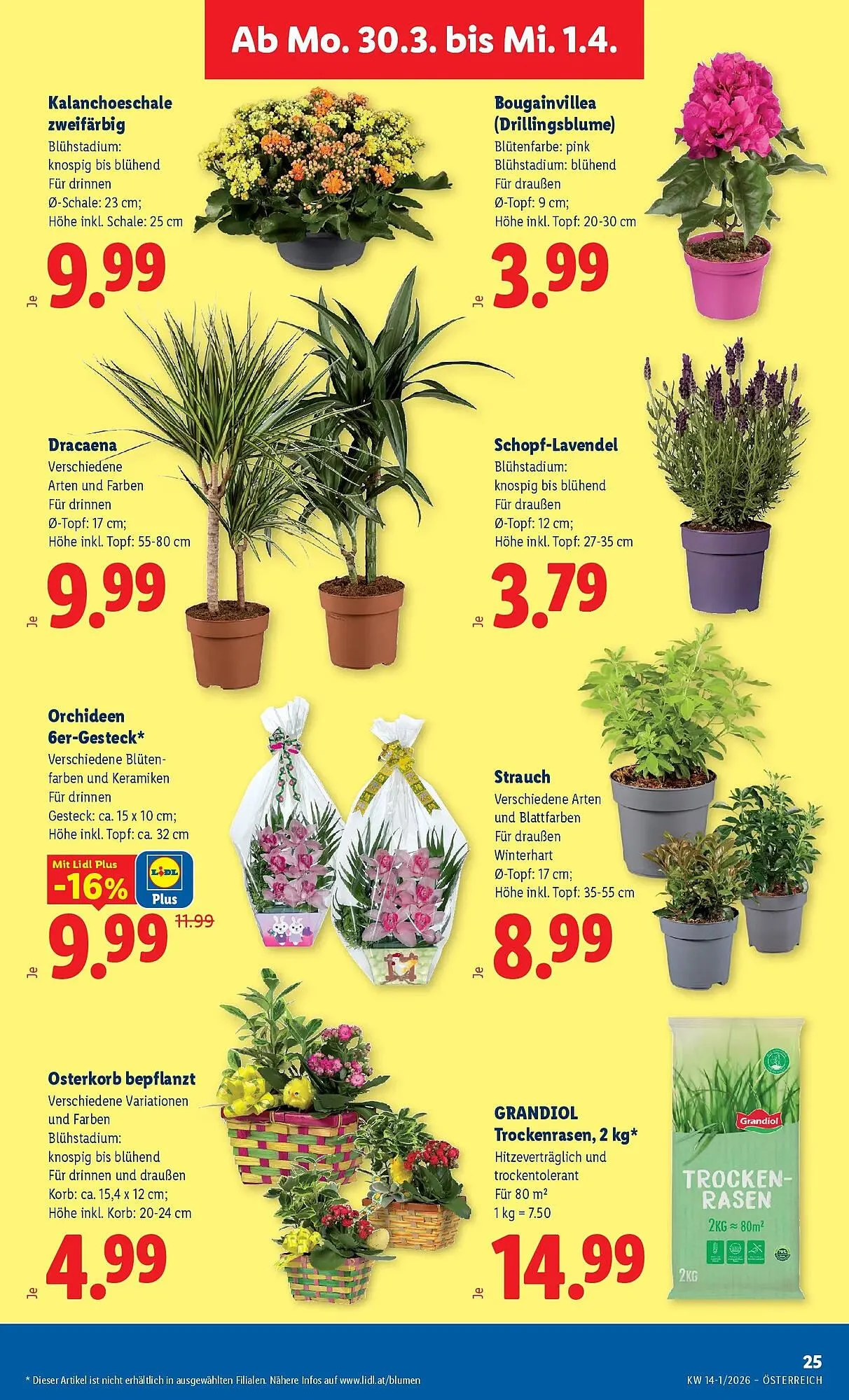 Lidl Flugblatt von 26. März bis 1. April 2026 - Flugblätt seite 30