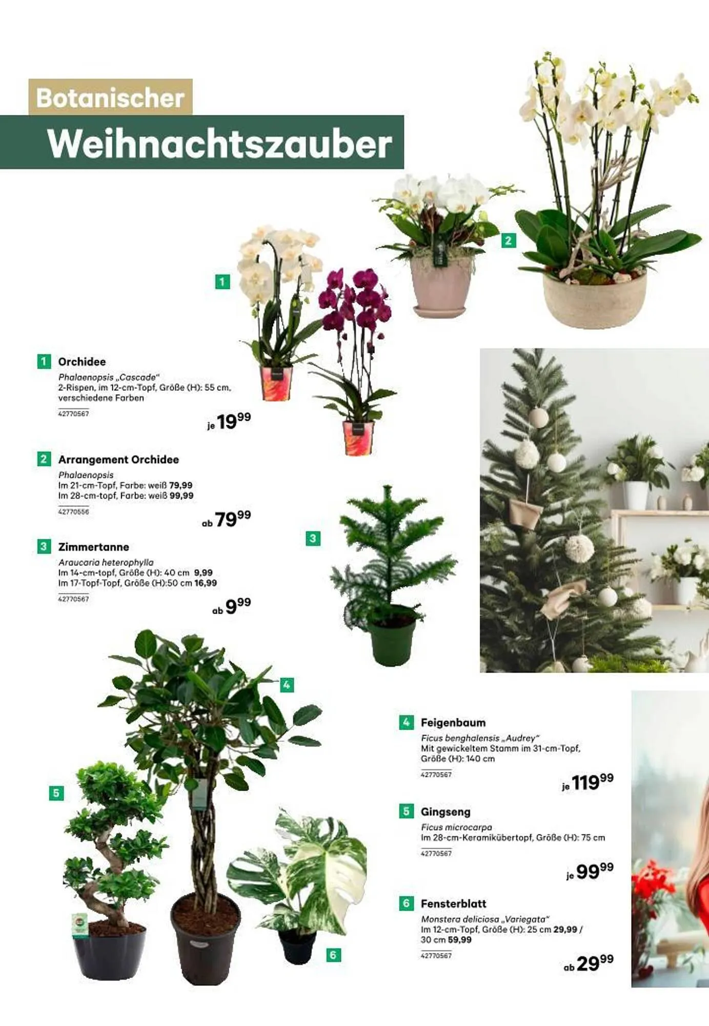 BayWa Prospekt von 25. November bis 6. Dezember 2025 - Flugblätt seite  10