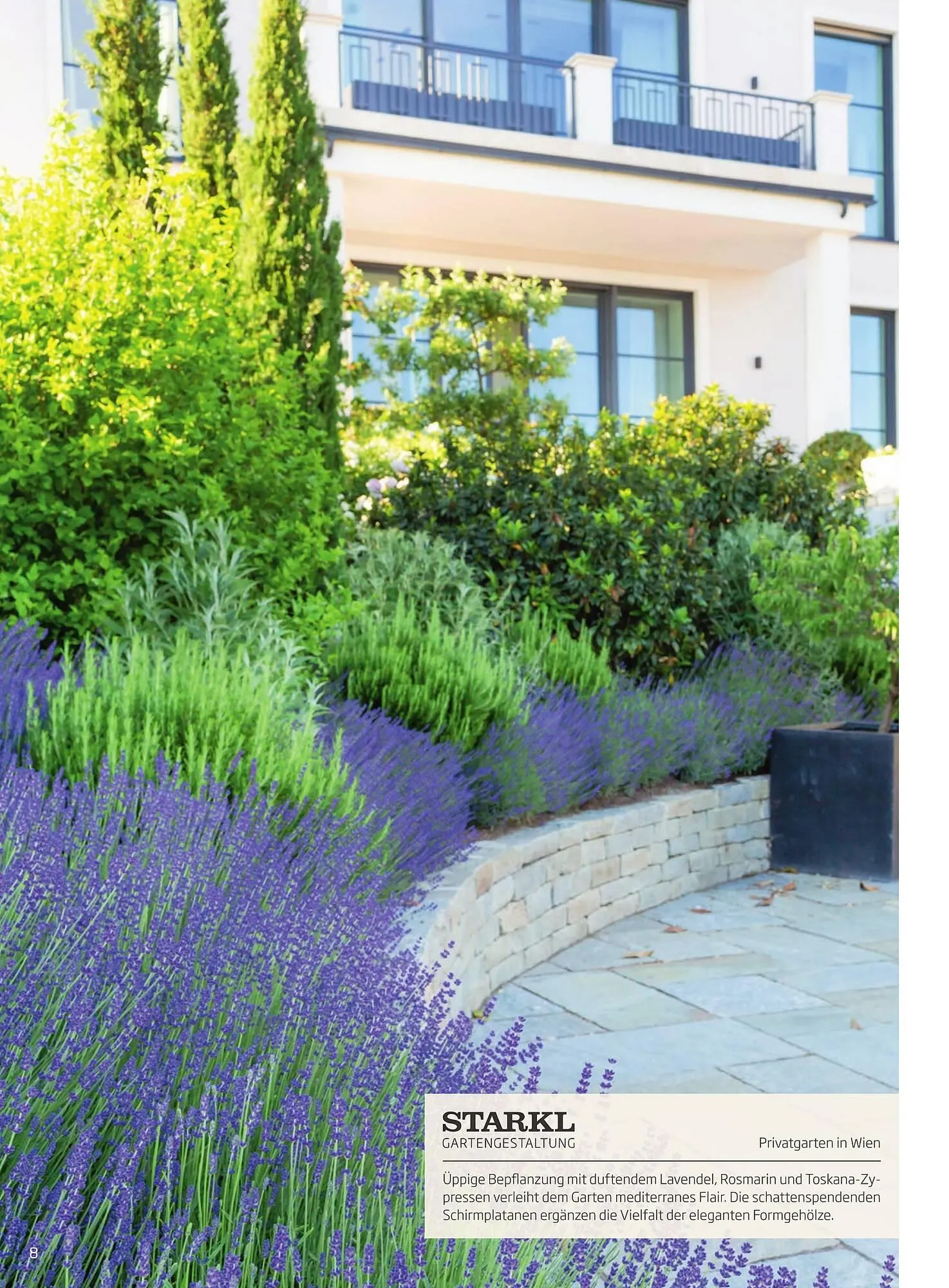 Starkl Flugblatt von 6. Juni bis 31. Dezember 2025 - Flugblätt seite 8