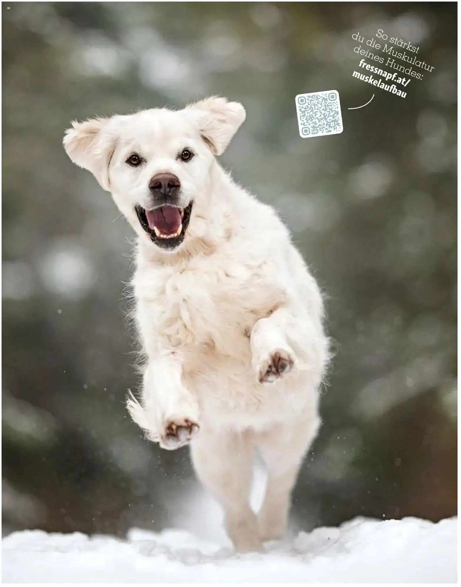 Fressnapf Flugblatt von 2. Jänner bis 2. März 2025 - Flugblätt seite  17